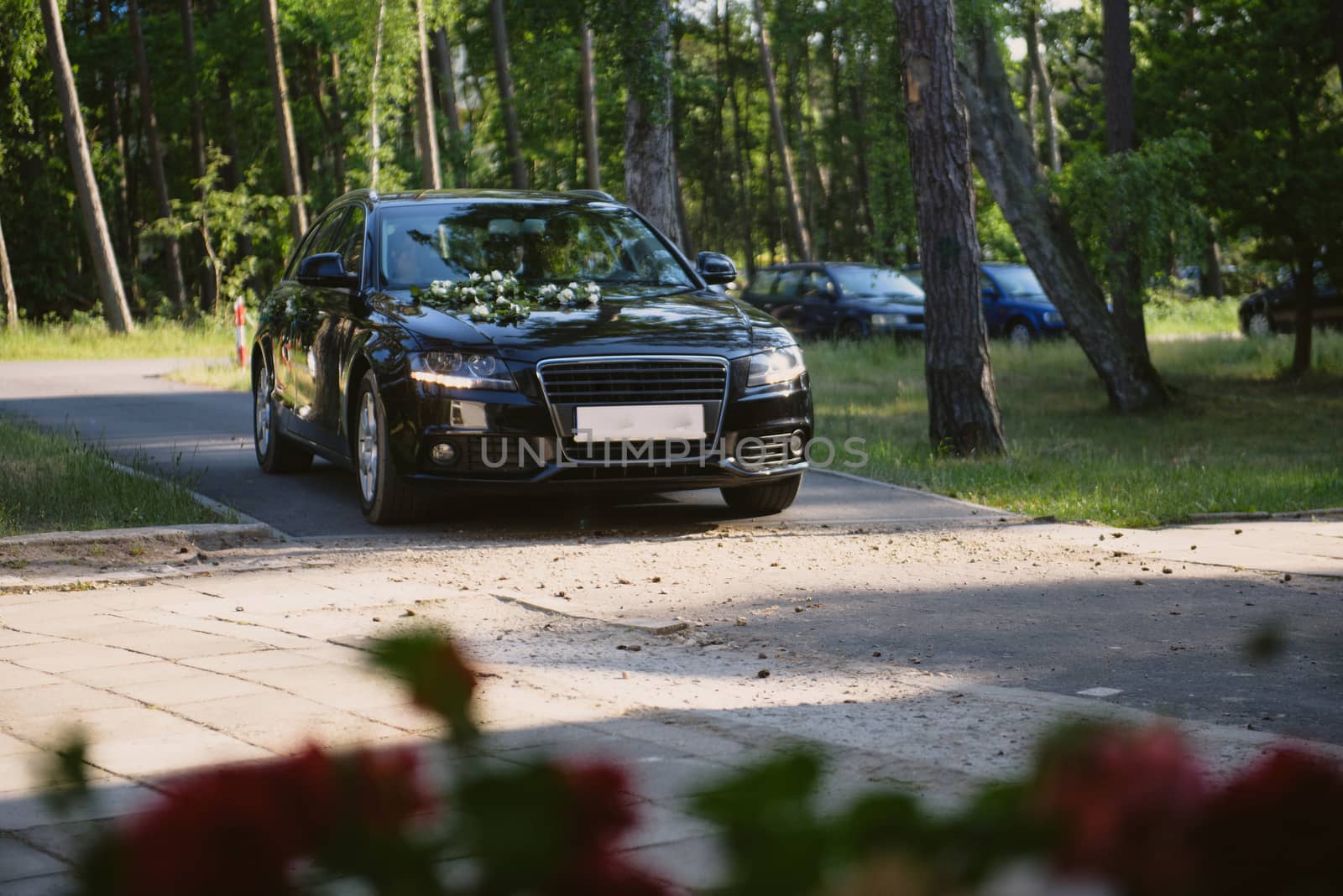 Luxury wedding car decorated with beautiful flowers. Brides and grooms wedding day