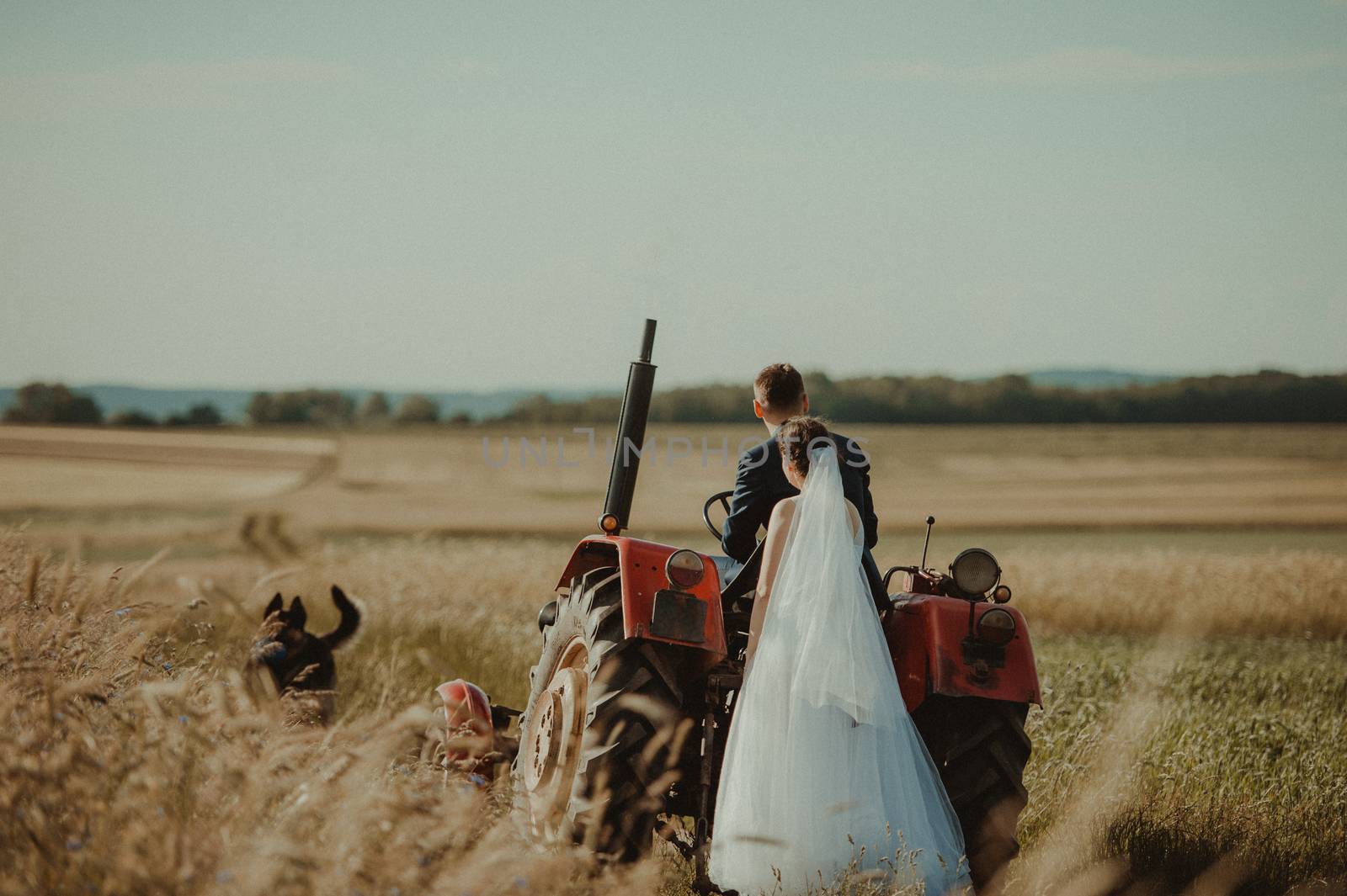 Bride and groom at a photo session in the nature.