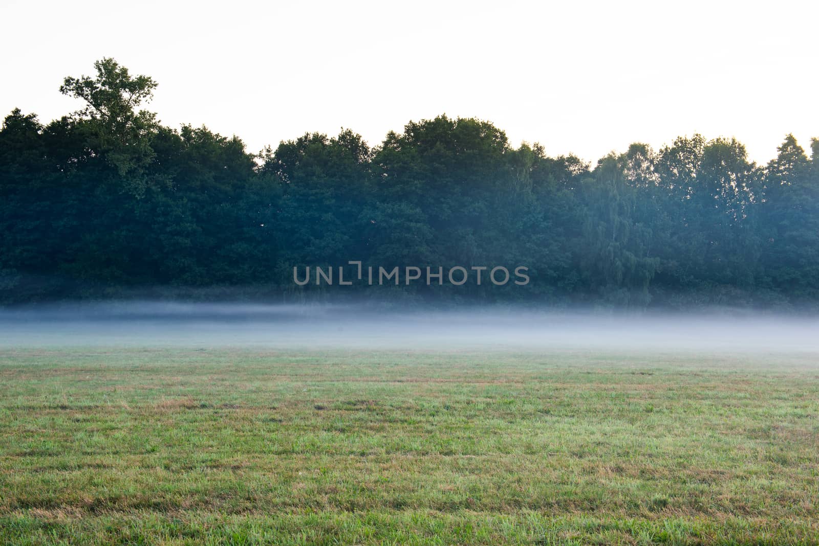 World environment day concept: Calm of country meadow sunrise landscape background.
