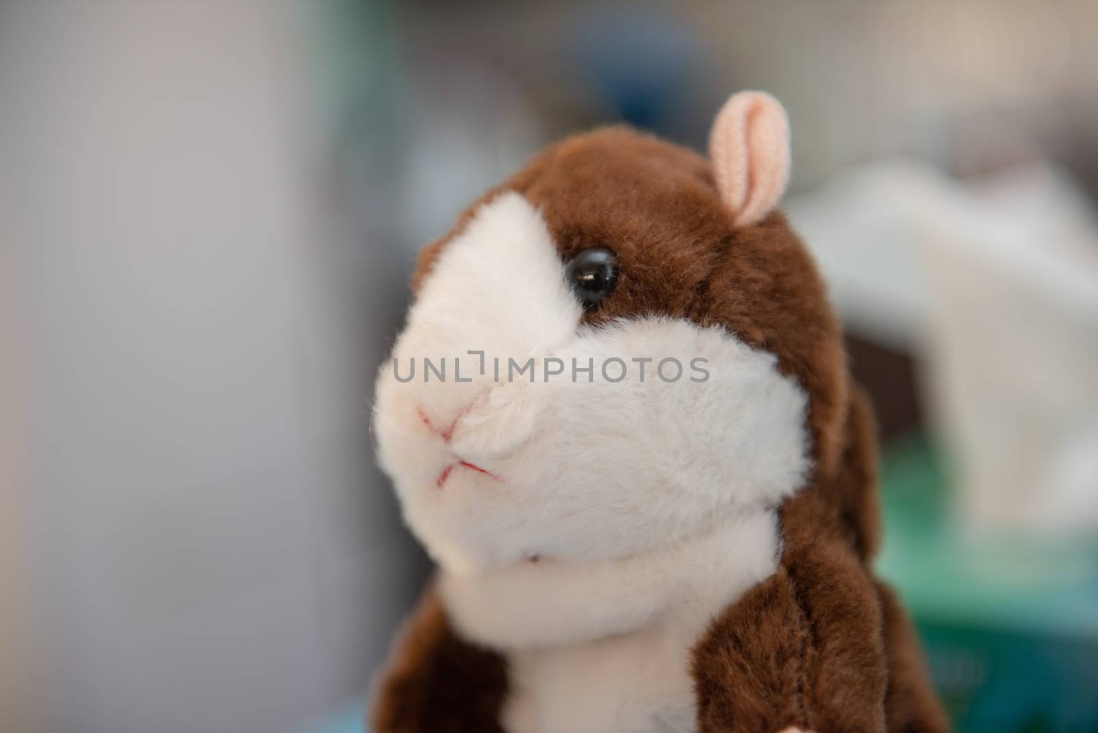Hamster soft toy on a white background