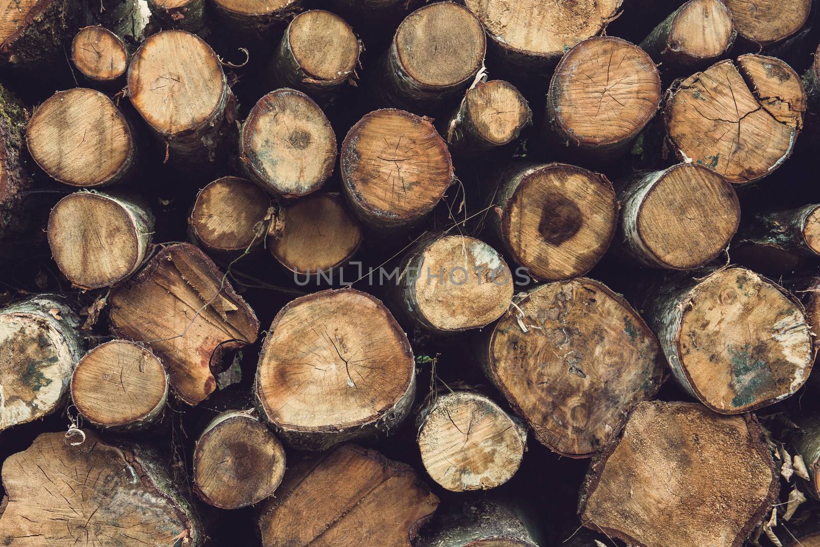 Background of dry chopped firewood logs stacked up on top of each other in a pile.