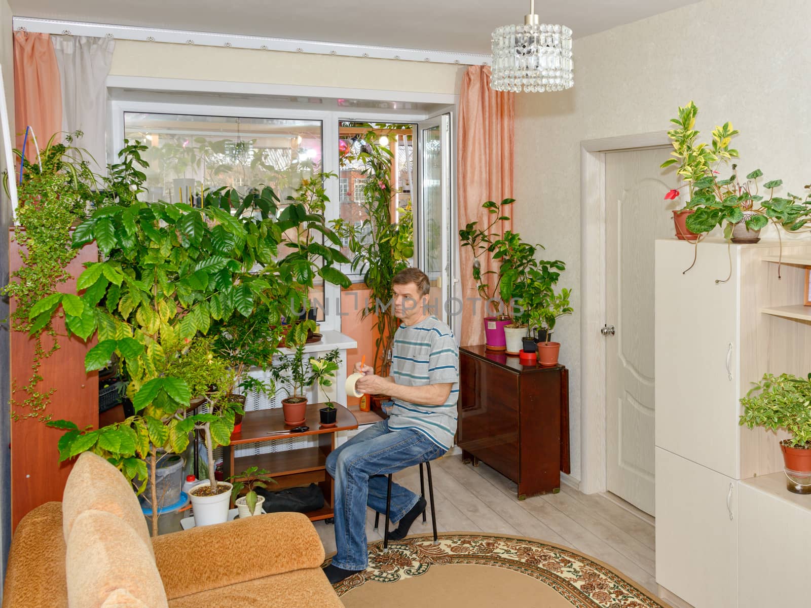 An elderly man in a bright room with home plants is engaged in his favorite hobby.