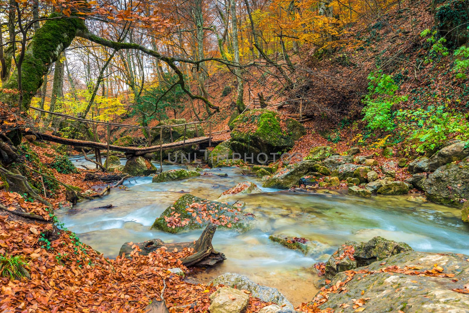 Wooden old bridge over the river in the gorge, picturesque lands by kosmsos111