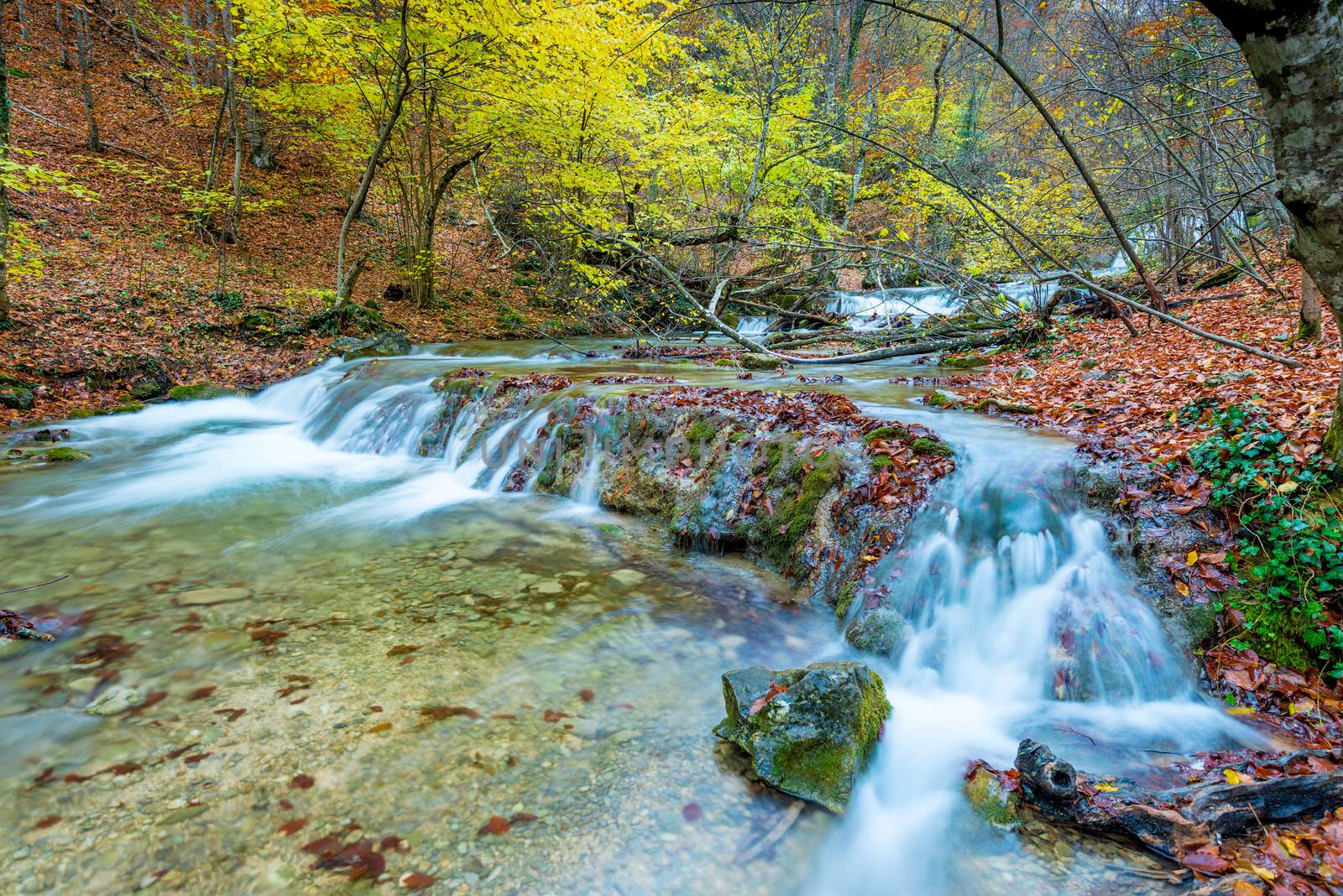 Autumn scenic landscape, mountain river in the autumn forest in by kosmsos111