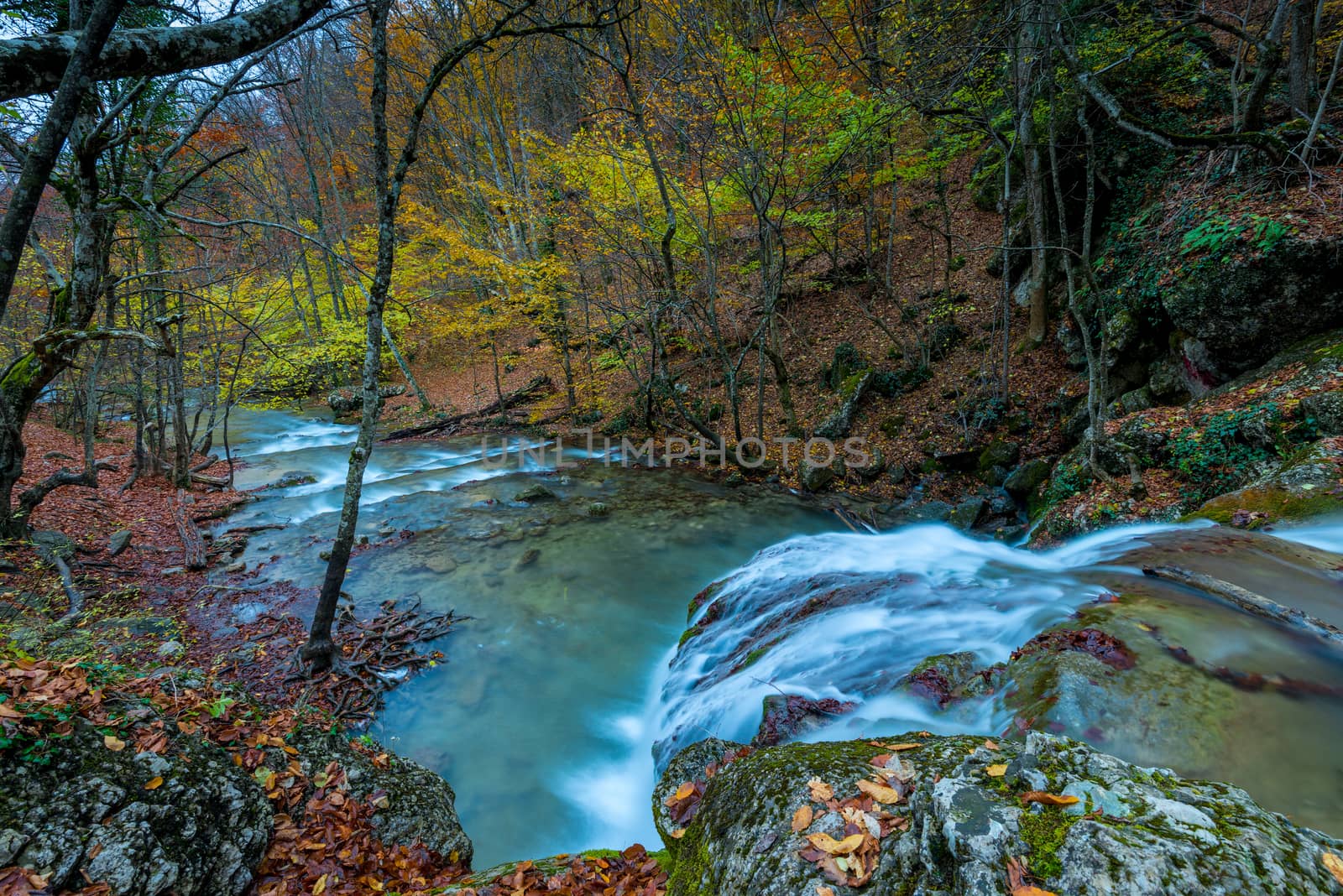 Fast river in the mountains in the forest, autumn landscape, the by kosmsos111