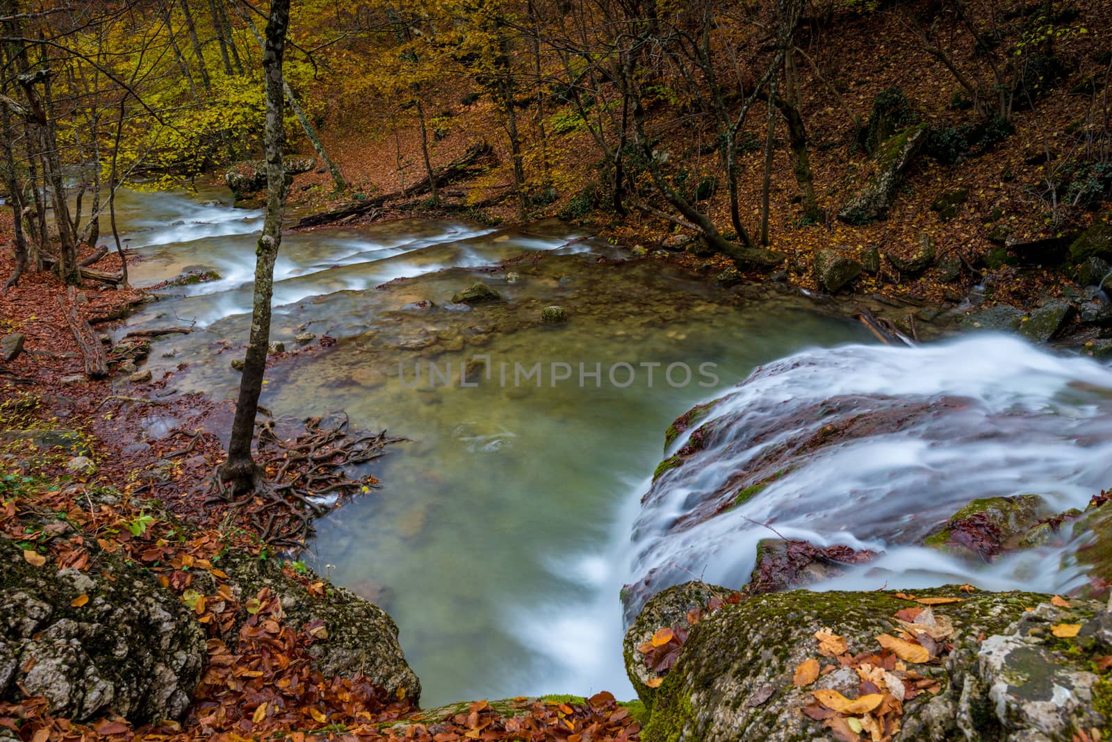 river in the mountains in the forest, autumn landscape, the natu by kosmsos111