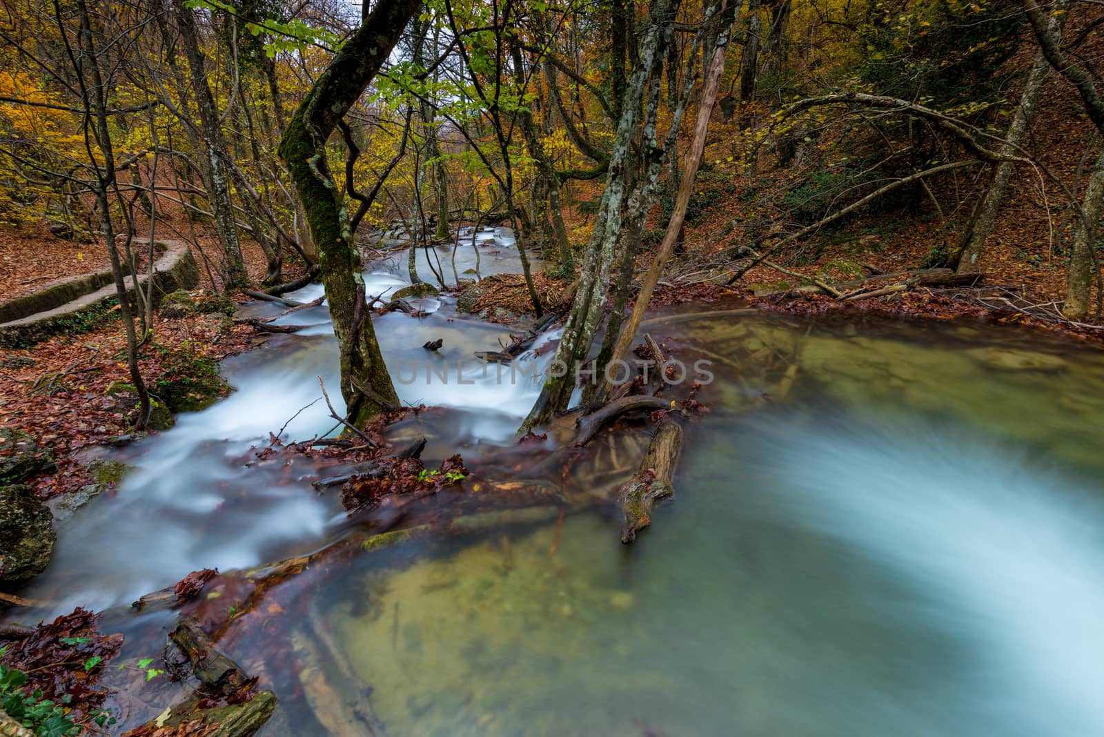 autumn landscape, river in the mountains in the forest, the natu by kosmsos111