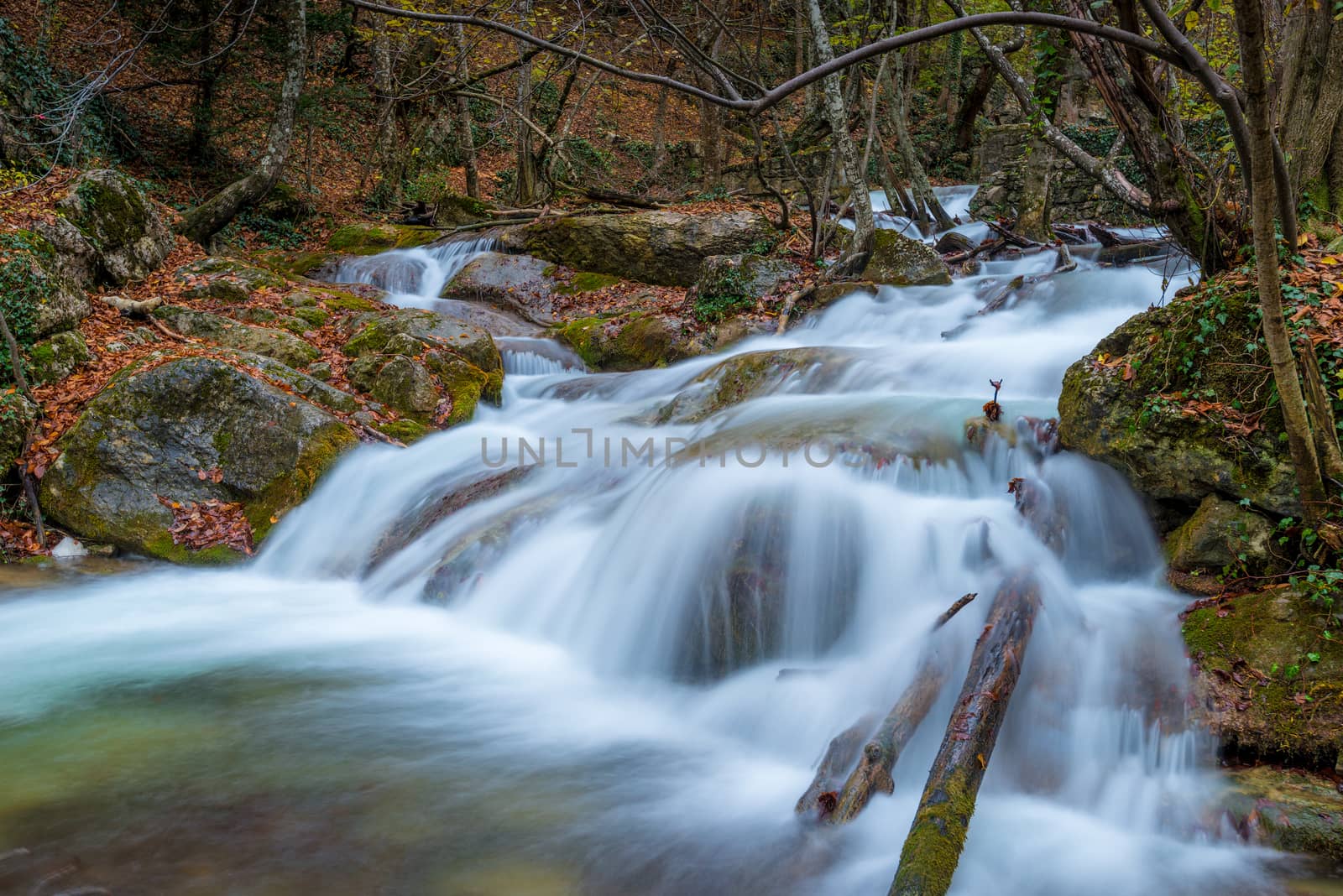 beautiful autumn landscape, fast river in the mountains in the forest, nature of Russia