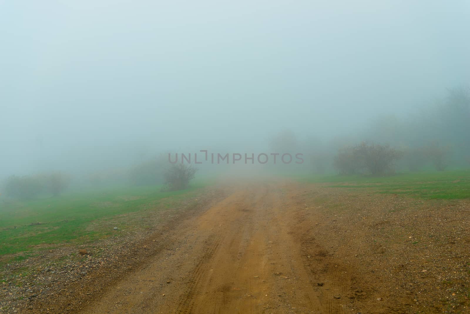 Goose fog and dirt road. Autumn landscape on a foggy day by kosmsos111