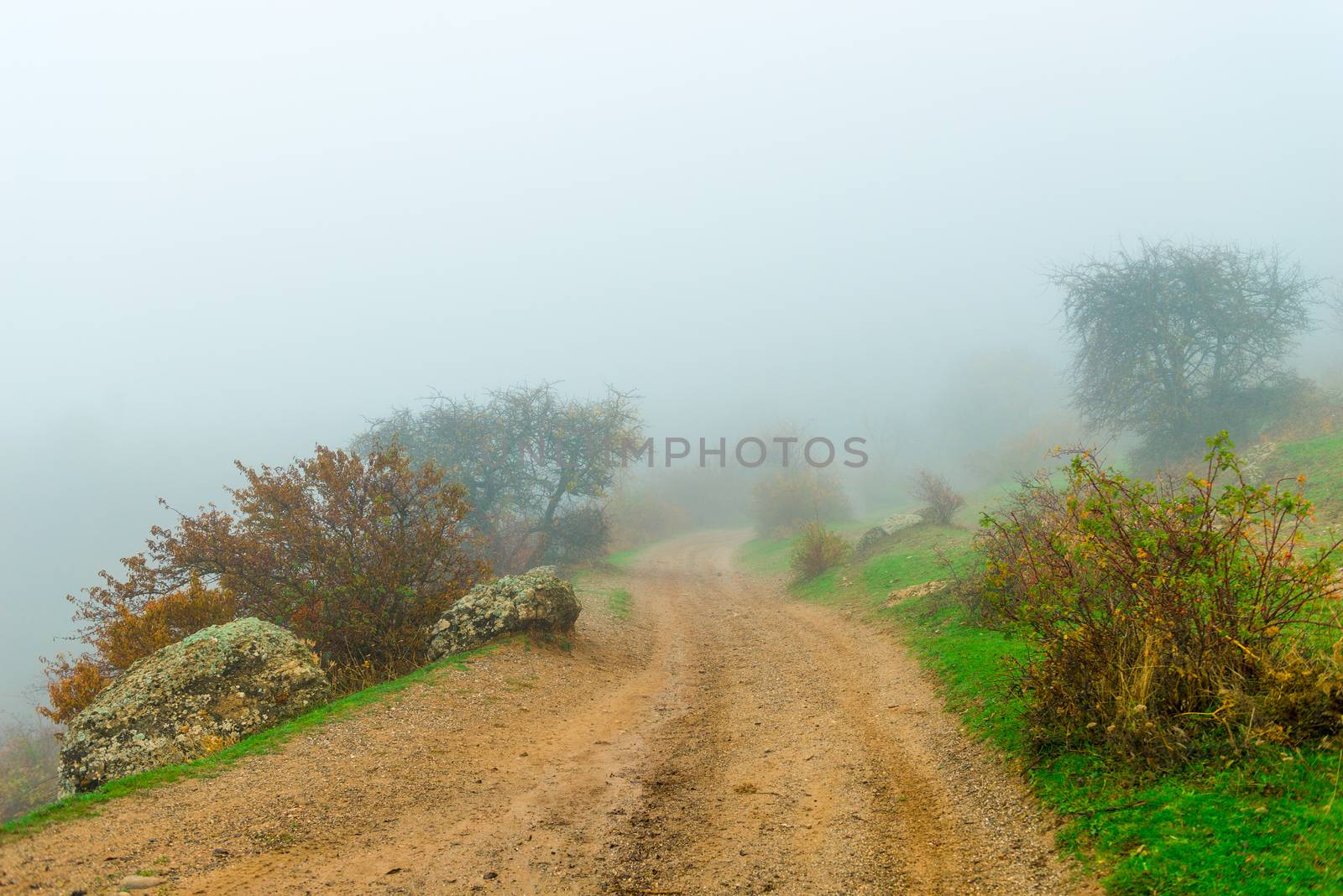 Mountain road, silhouettes of bushes, landscape in dense fog by kosmsos111