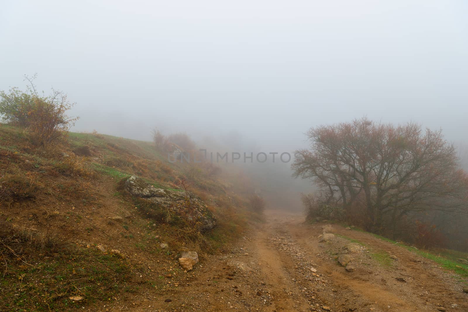 Dirt road to the mountain, autumn landscape of mountains in dens by kosmsos111