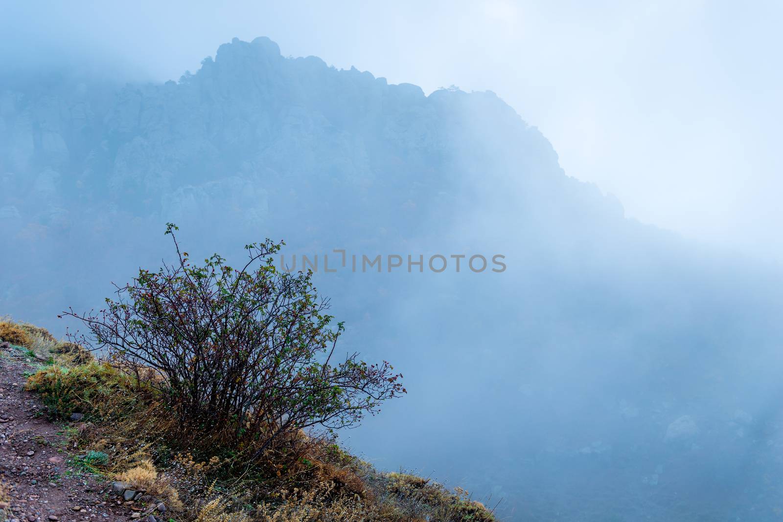 fog, mountain landscape in the high mountains on an autumn afternoon