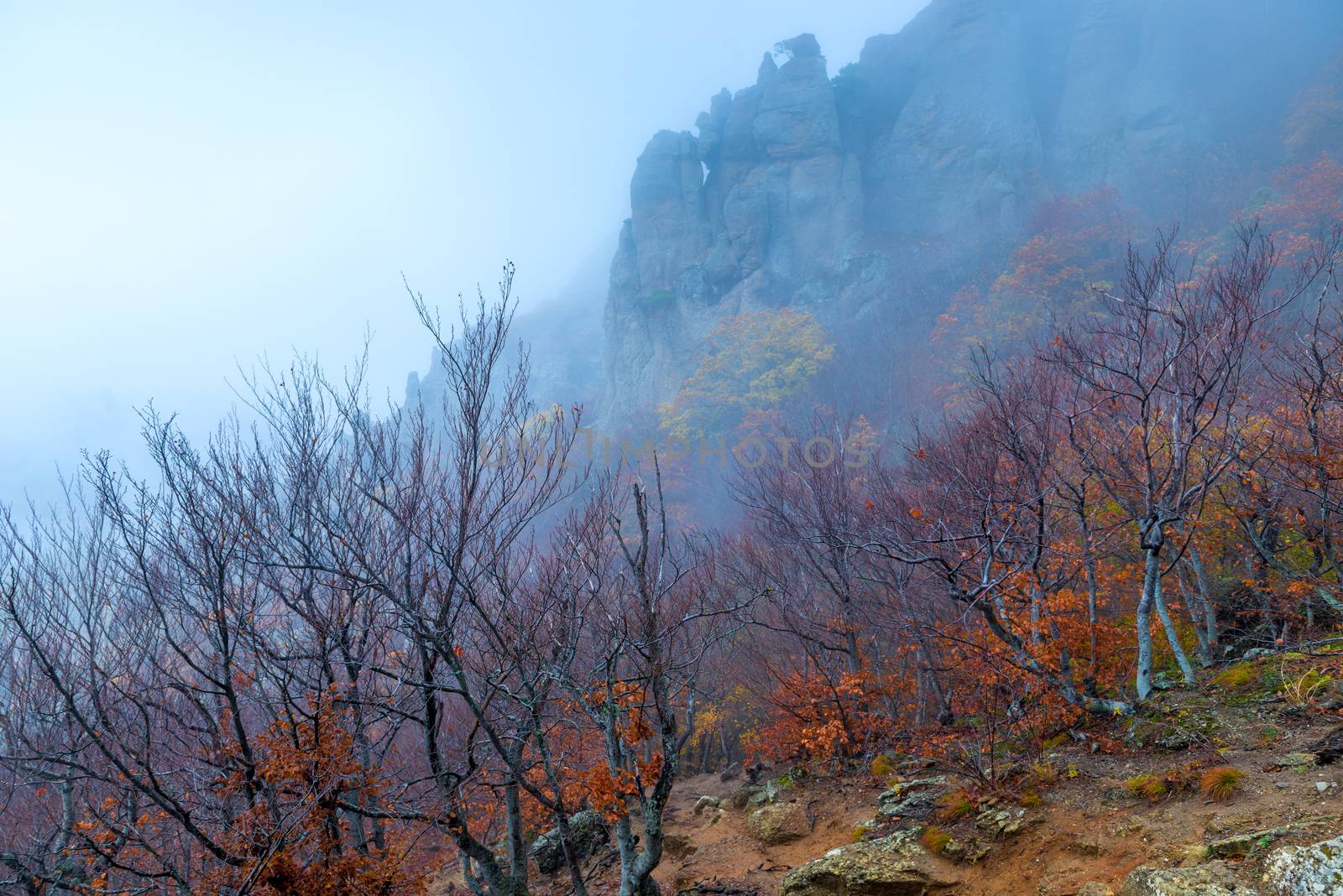 Beautiful mountains, view of bare trees and rocks, autumn landscape in the fog