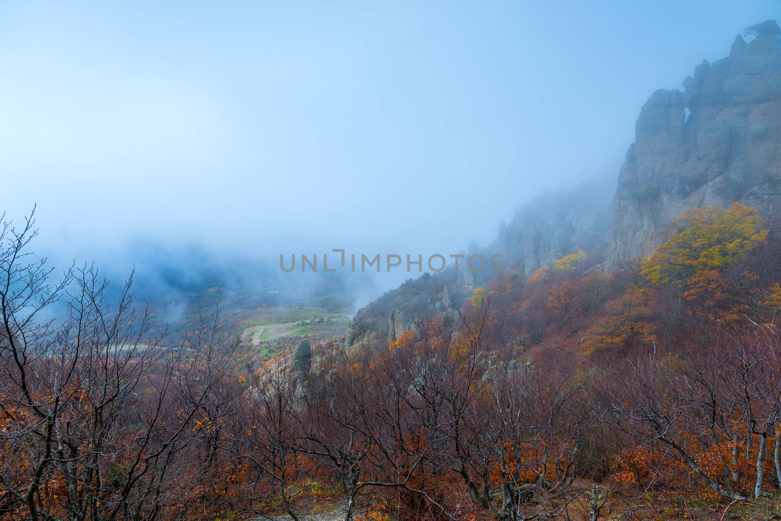 autumn landscape in the fog - beautiful mountains, view of the bare trees and rocks