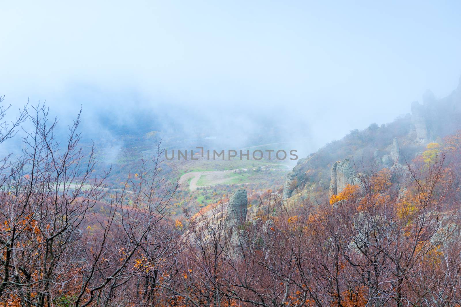 view from the mountain - autumn landscape in the fog, beautiful mountains, view of the bare trees and rocks