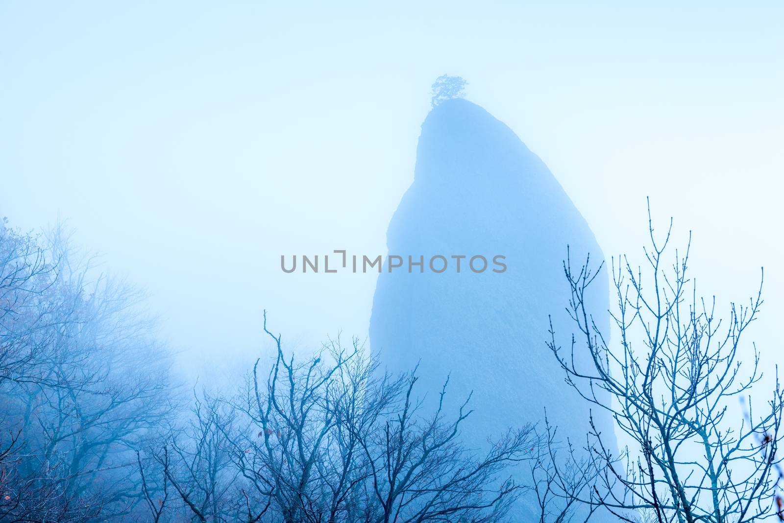 High rock with a tree on top and gloomy bare branches of trees in the fall during the fog