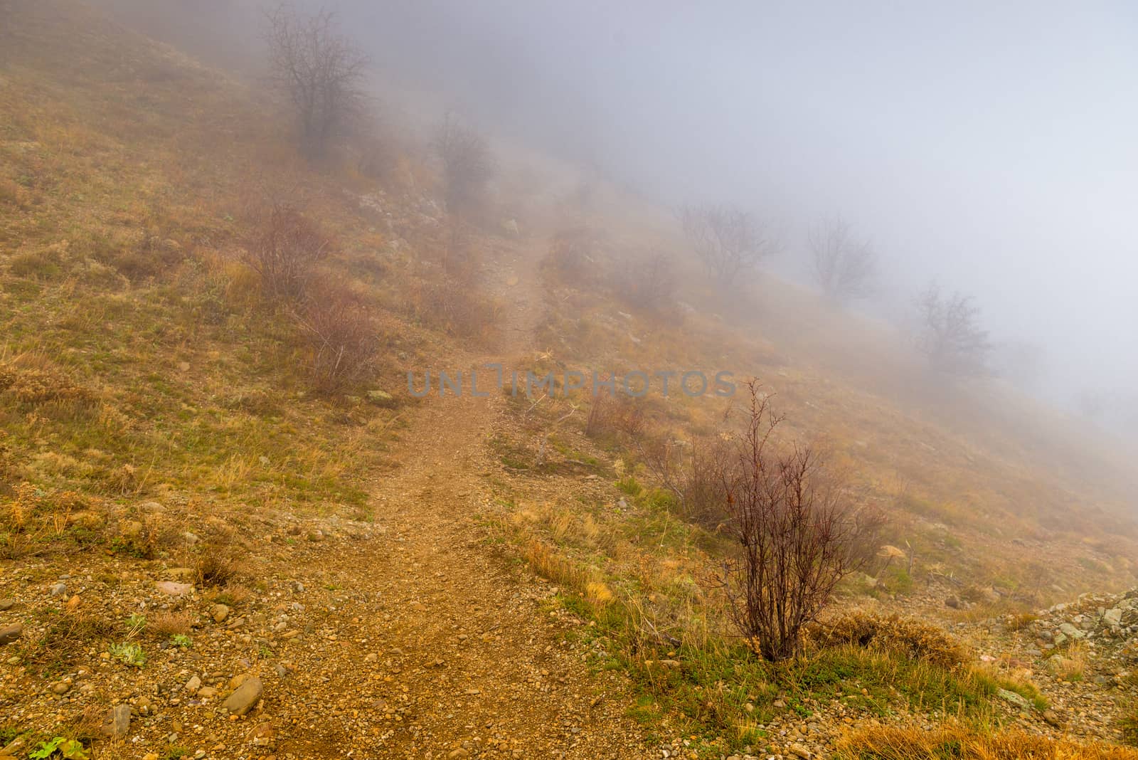 gloomy autumn landscape on a foggy day in the mountains by kosmsos111