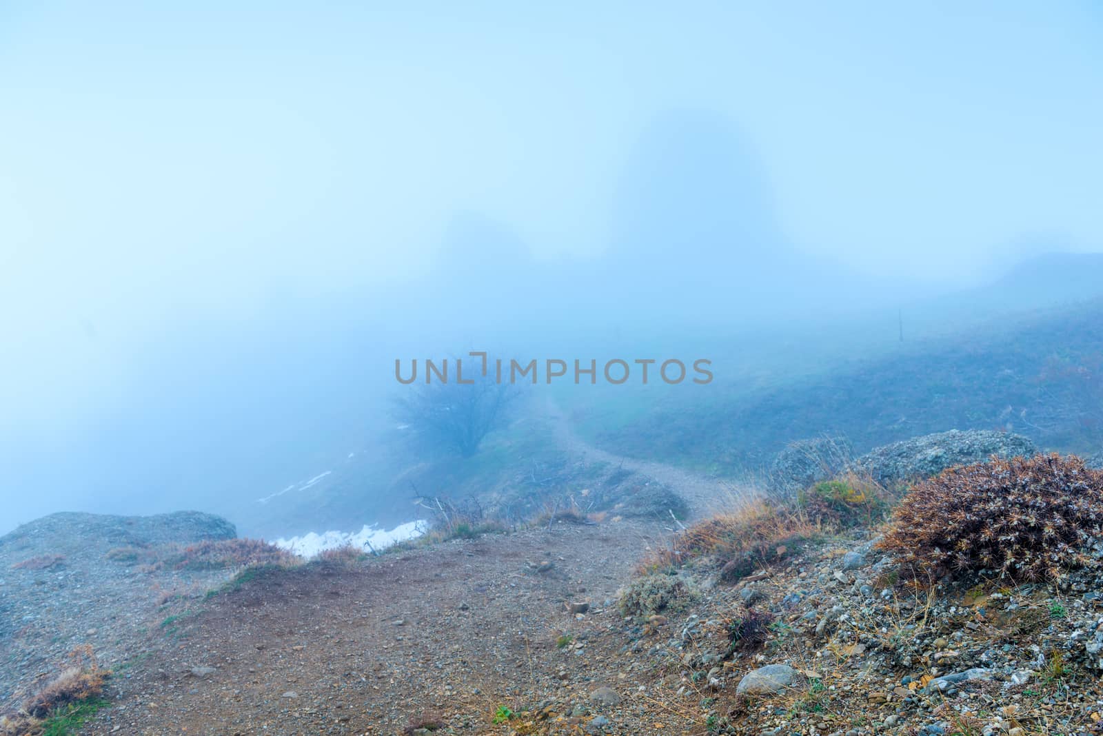 gloomy autumn landscape on a foggy day in the mountains by kosmsos111