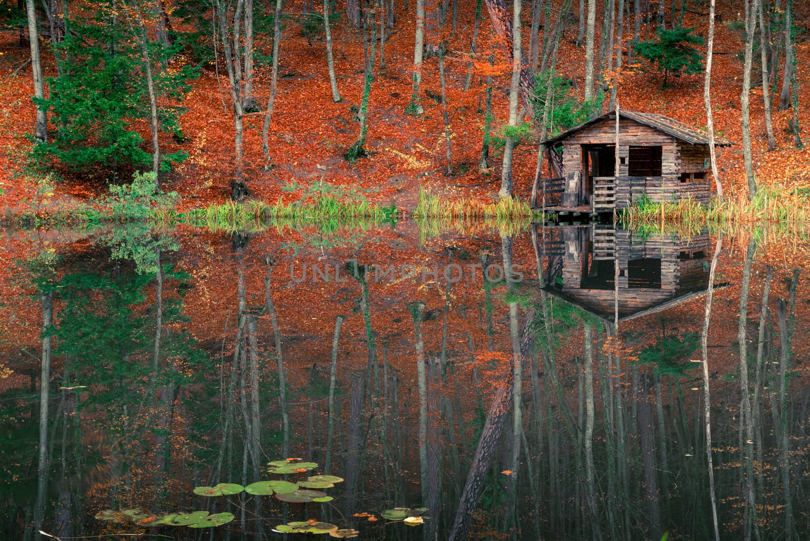 Old fishing house near the forest pond in the autumn afternoon, beautiful landscape