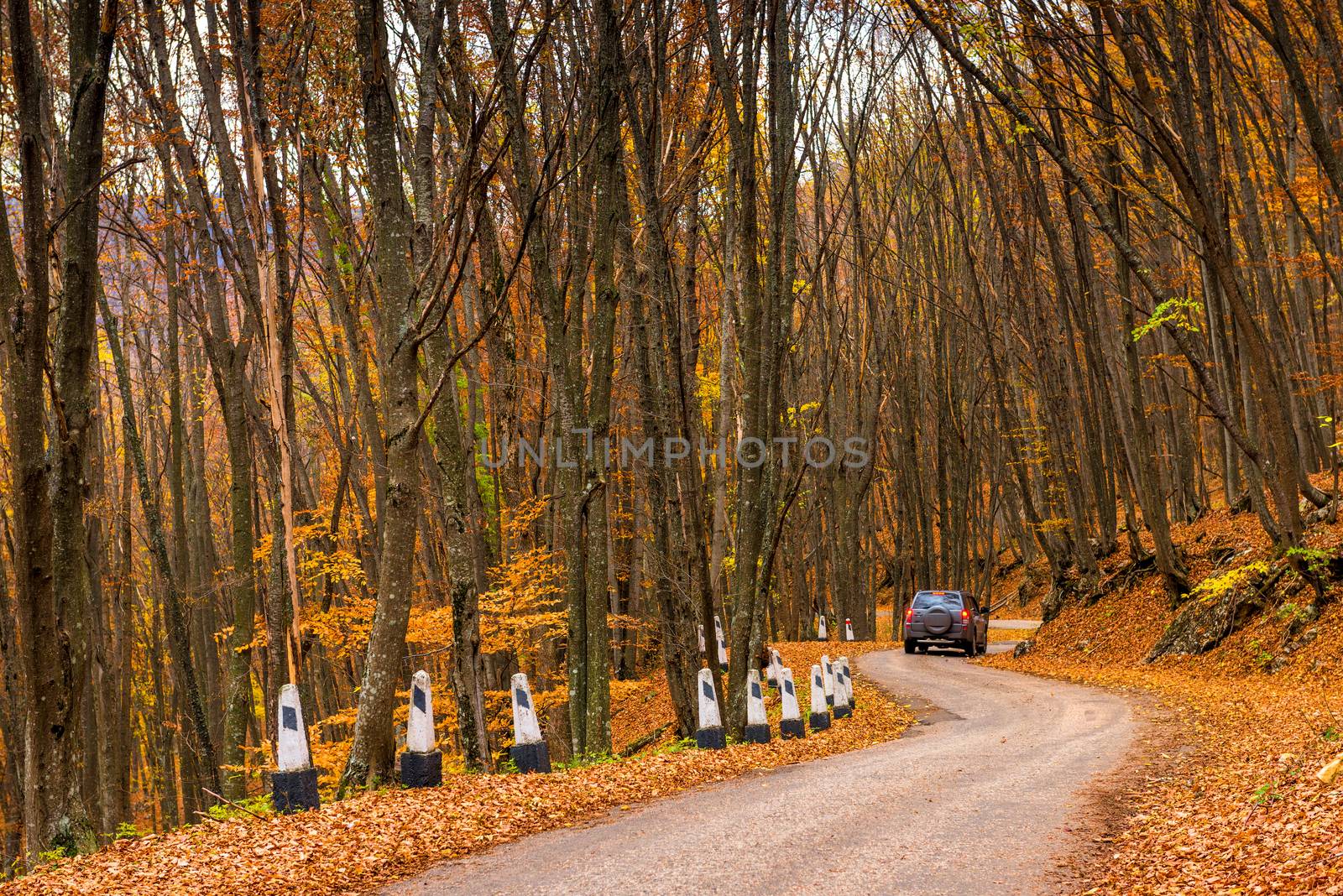 A car drives along a winding mountain road on a fall day surroun by kosmsos111