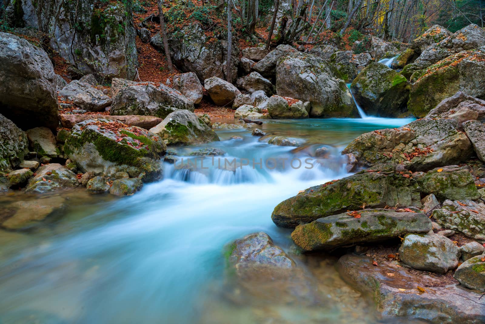 The river in the mountains, fast water among the stones, a beautiful landscape in autumn