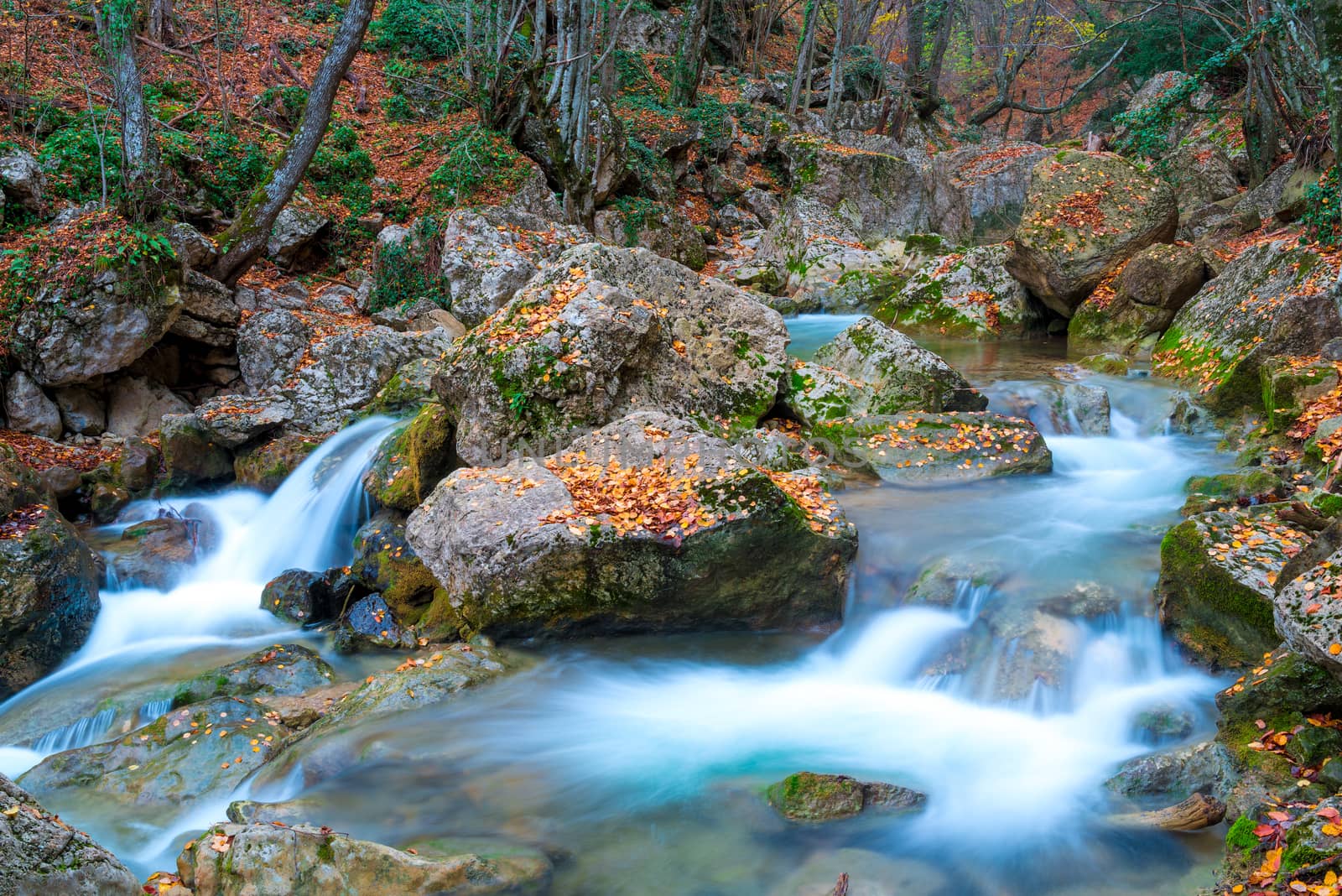 Moss-covered stones and flowing water in the mountains on an aut by kosmsos111