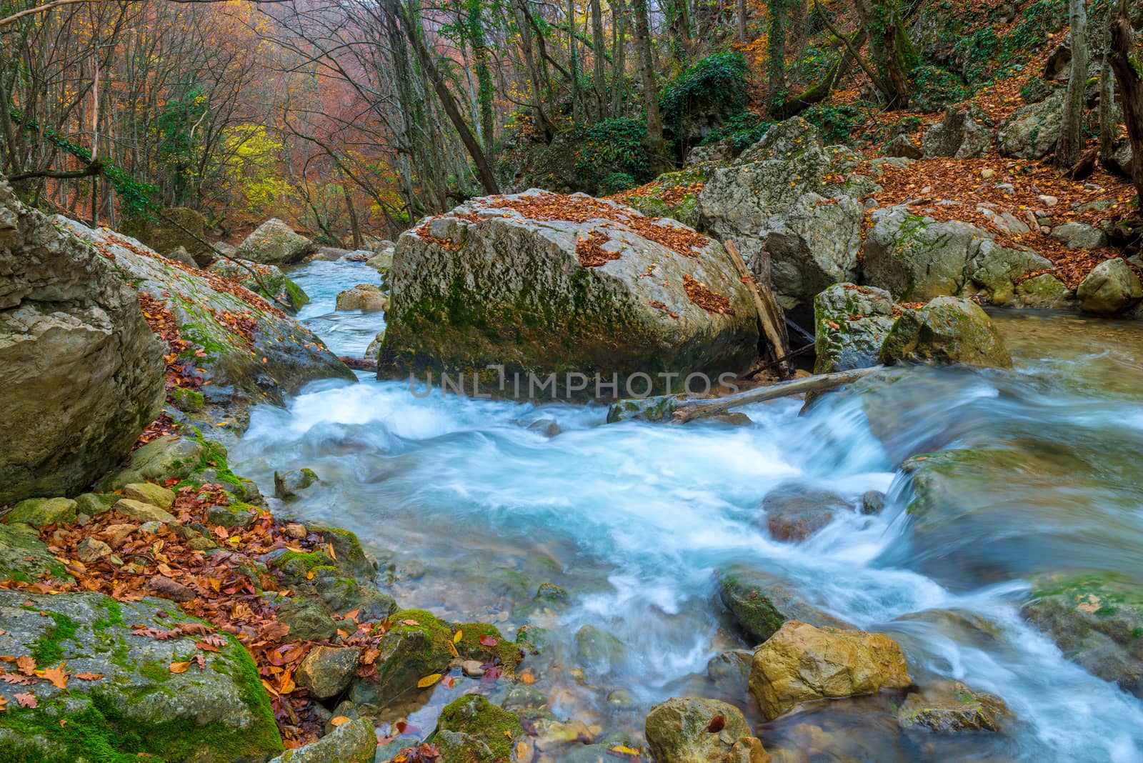 very beautiful nature - stones covered with moss and flowing wat by kosmsos111