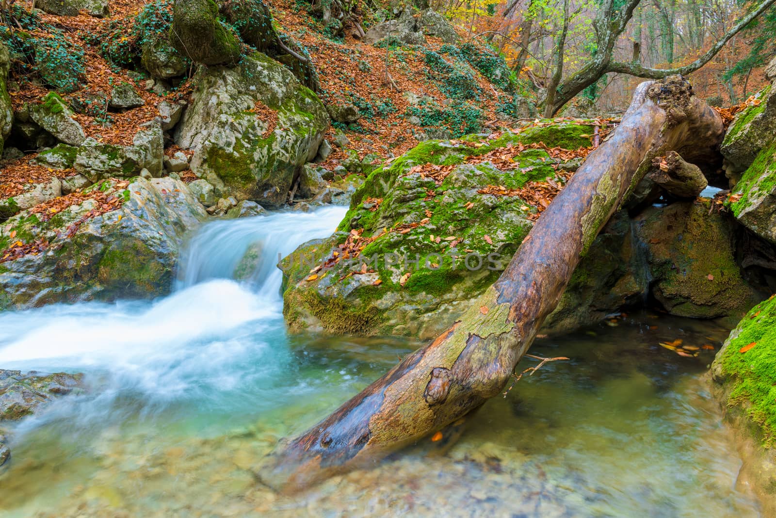 Canyon in the mountains with a flowing mountain river, beautiful by kosmsos111