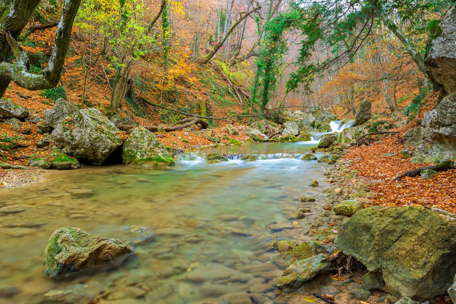 Beautiful autumn landscape, a river flowing into a gorge in the mountains and fallen leaves of trees