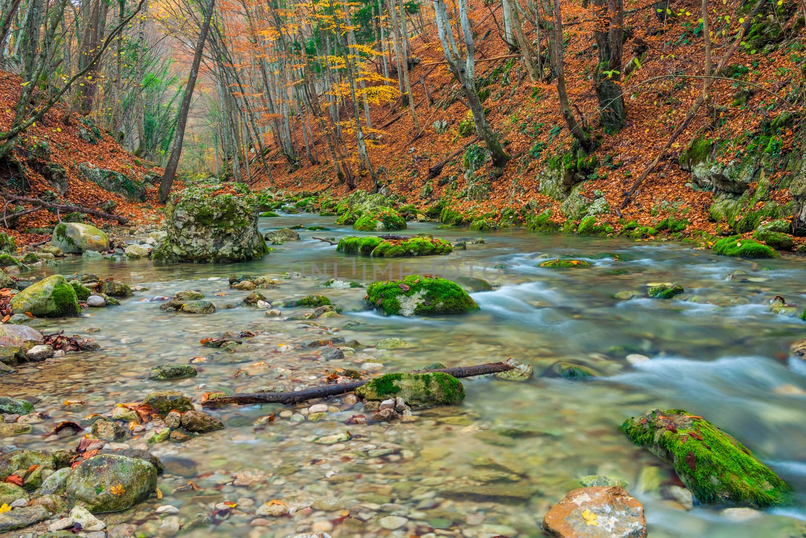 canyon with mountain river, beautiful natural location in autumn in the mountains