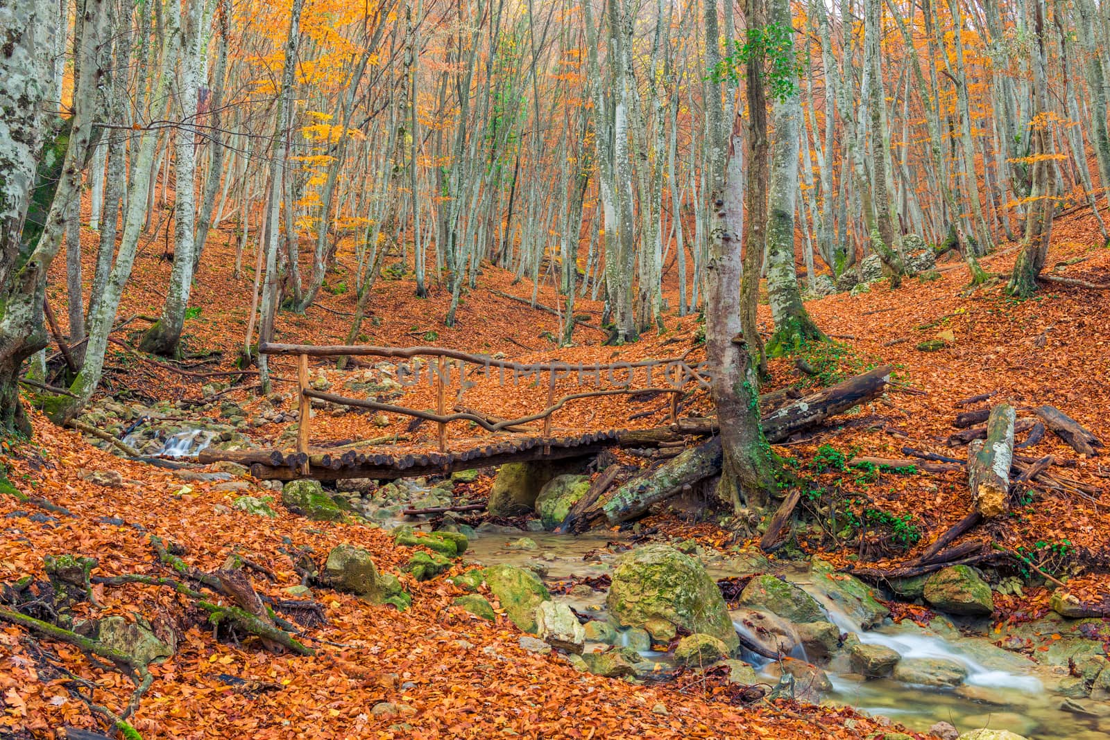 Autumn, mountains beautiful landscape - a wooden bridge over the by kosmsos111