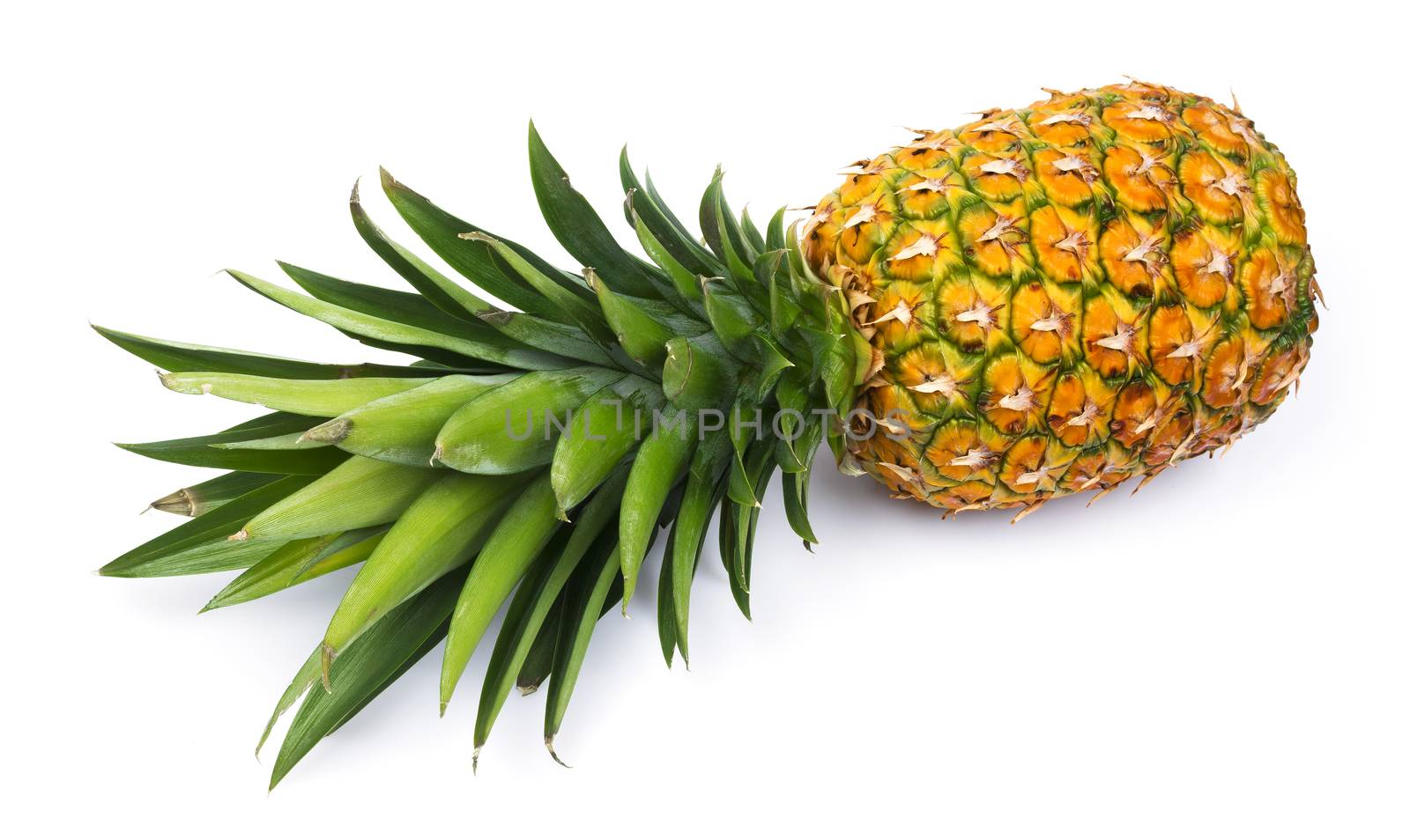 One whole pineapple isolated on white background