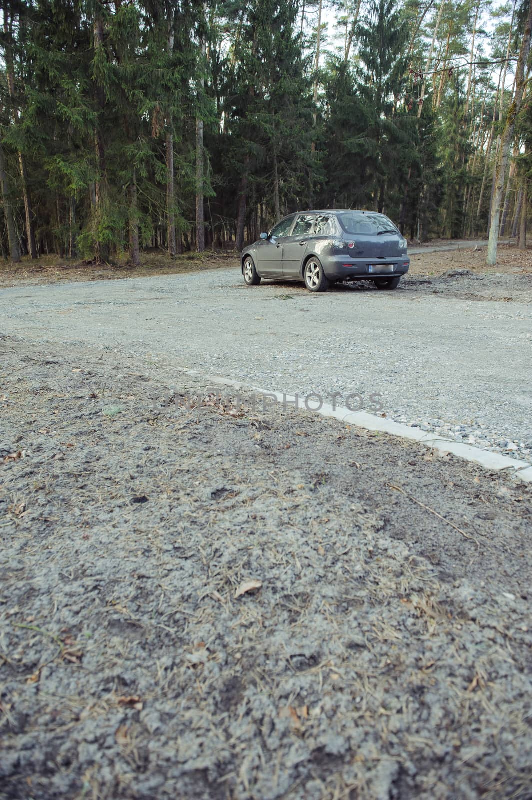 Gray hatchback car parked next to the wood