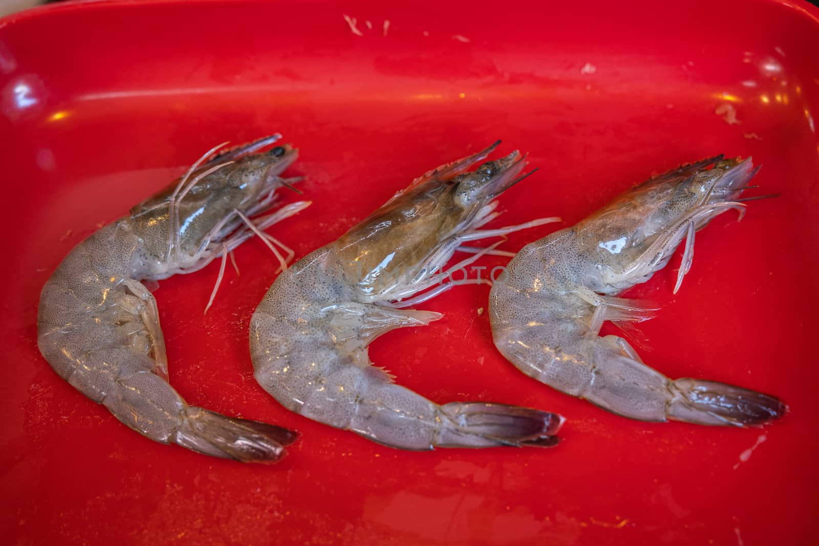 row Fresh Shrimp in red plate background for cook by peerapixs