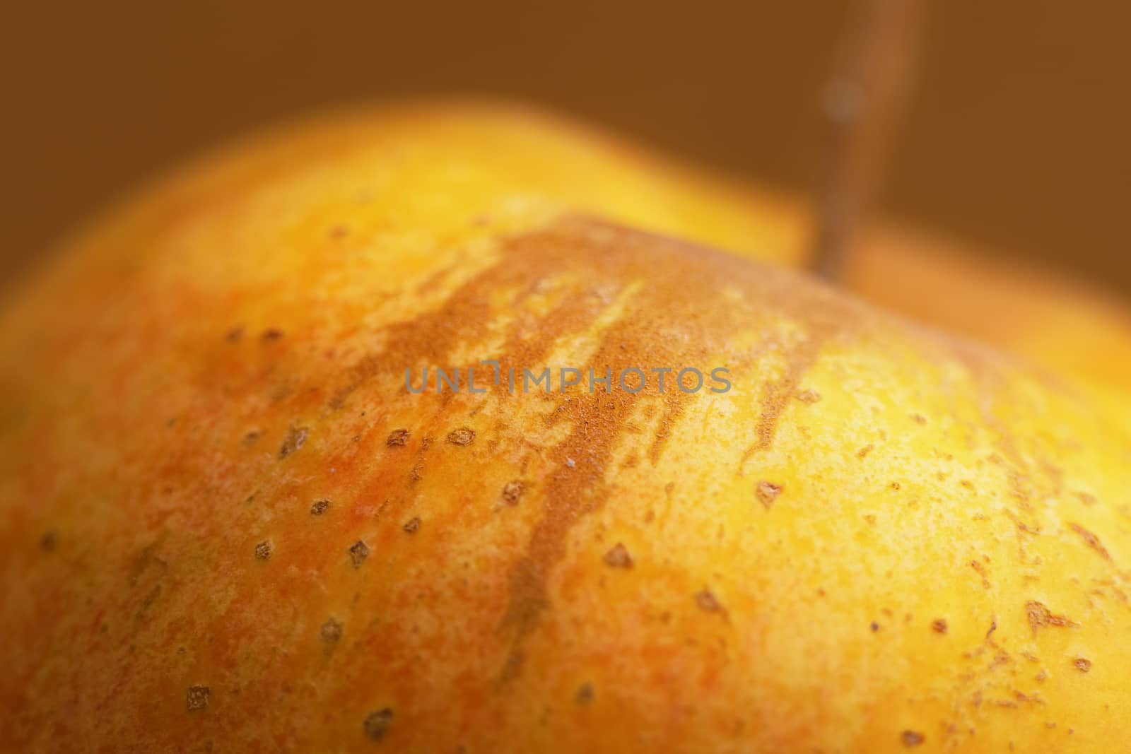 Yellow apple close-up. Fresh fruit with a stem.