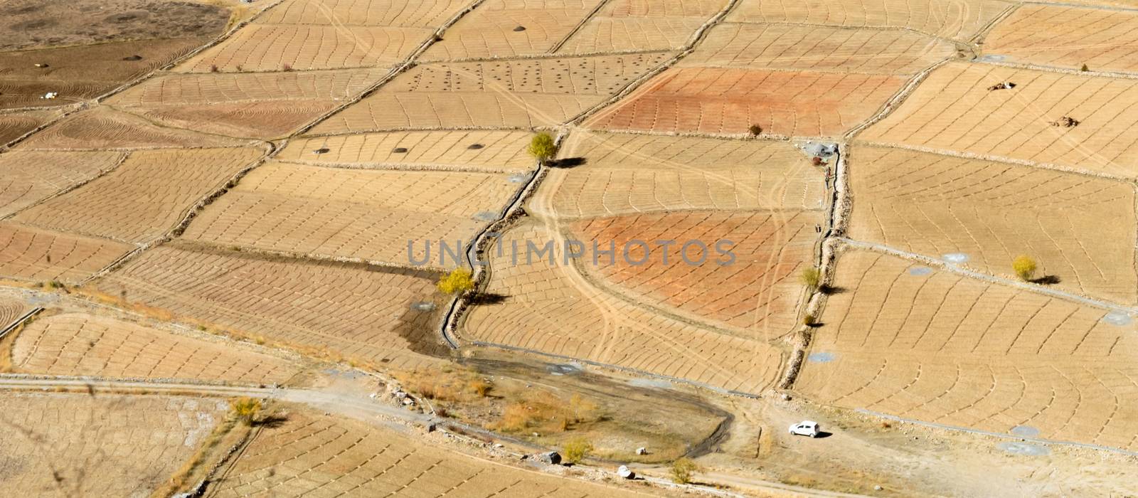 Abstract geometric shape agriculture parcel field of different crops on yellow meadow. Dry Arid Climate region. Ariel view. Rectangle shape panorama landscape.