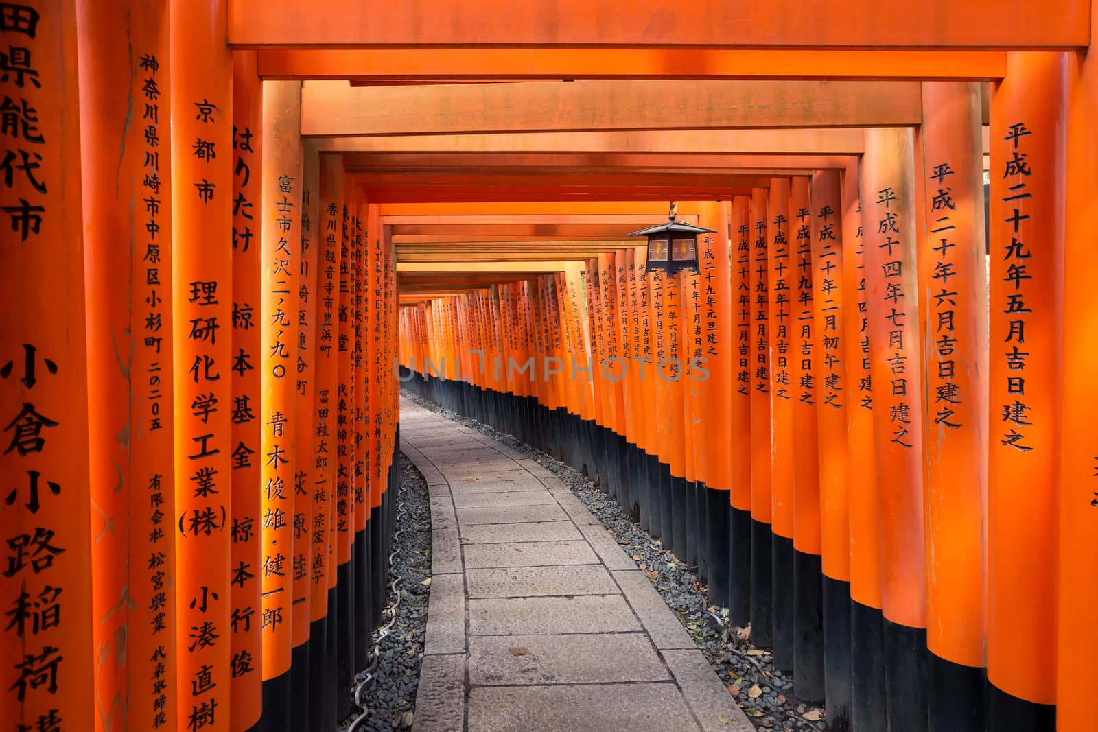 Torii path at Fushimi Inari Taisha Shrine in Kyoto, Japan by zhu_zhu
