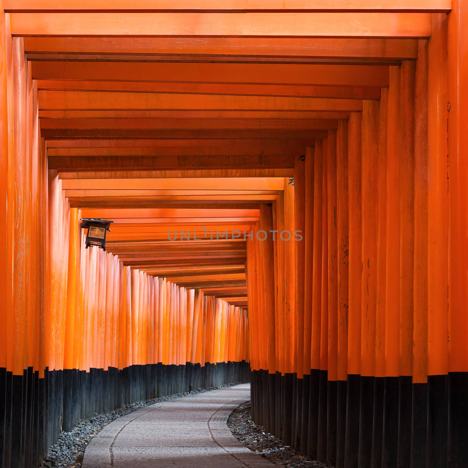 vermillion Torii path at Fushimi Inari Taisha Shrine in Kyoto, Japan