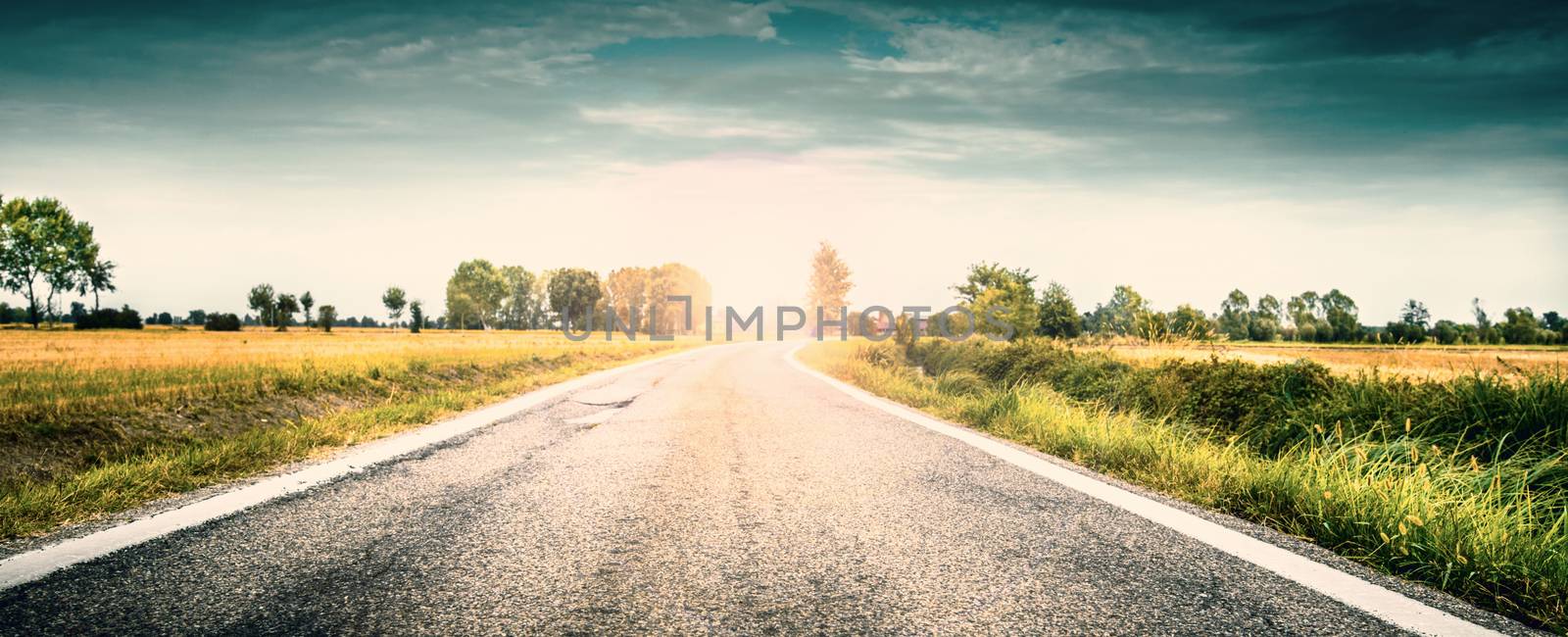 view of a country road by photobeps