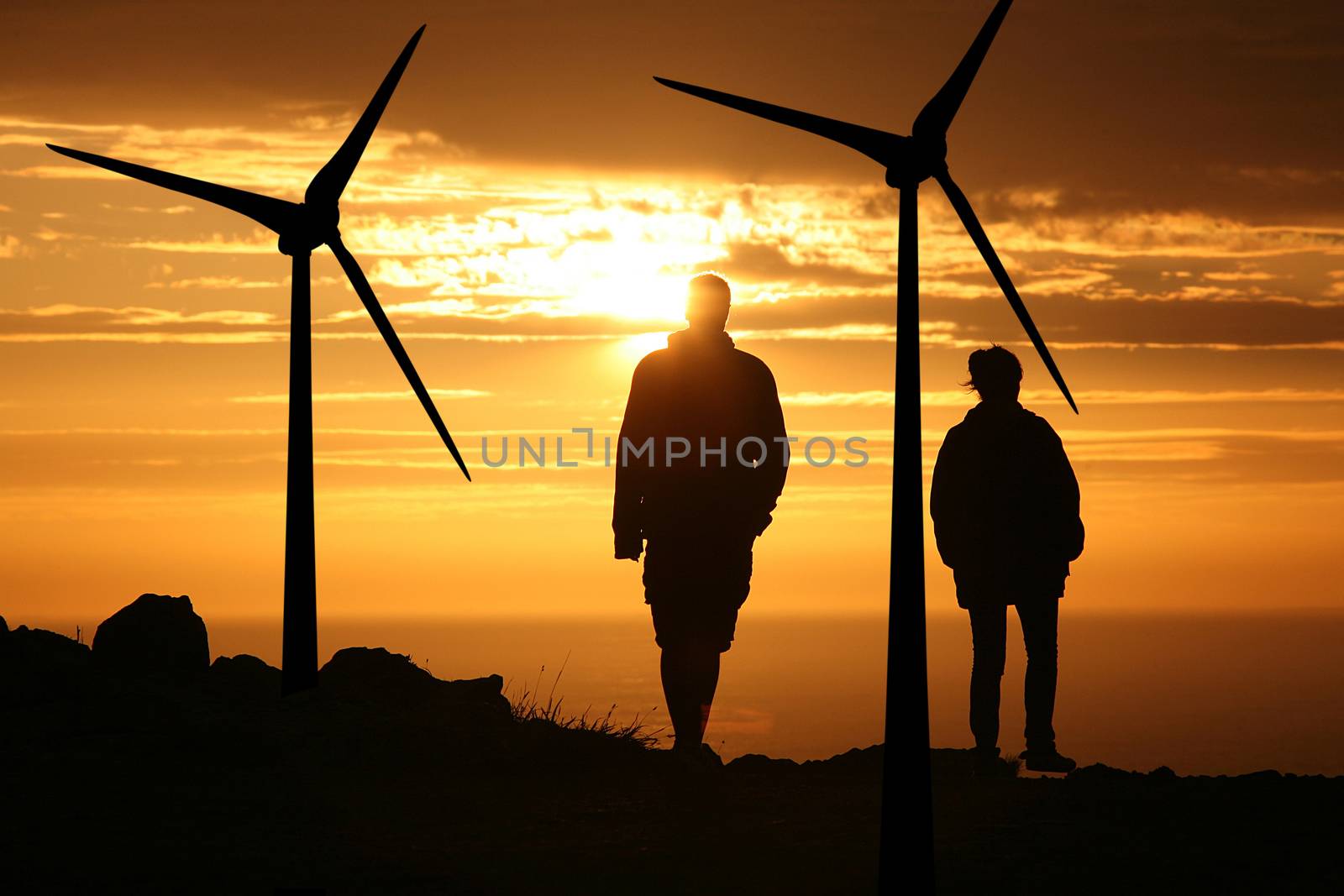 wind turbine on sunset background