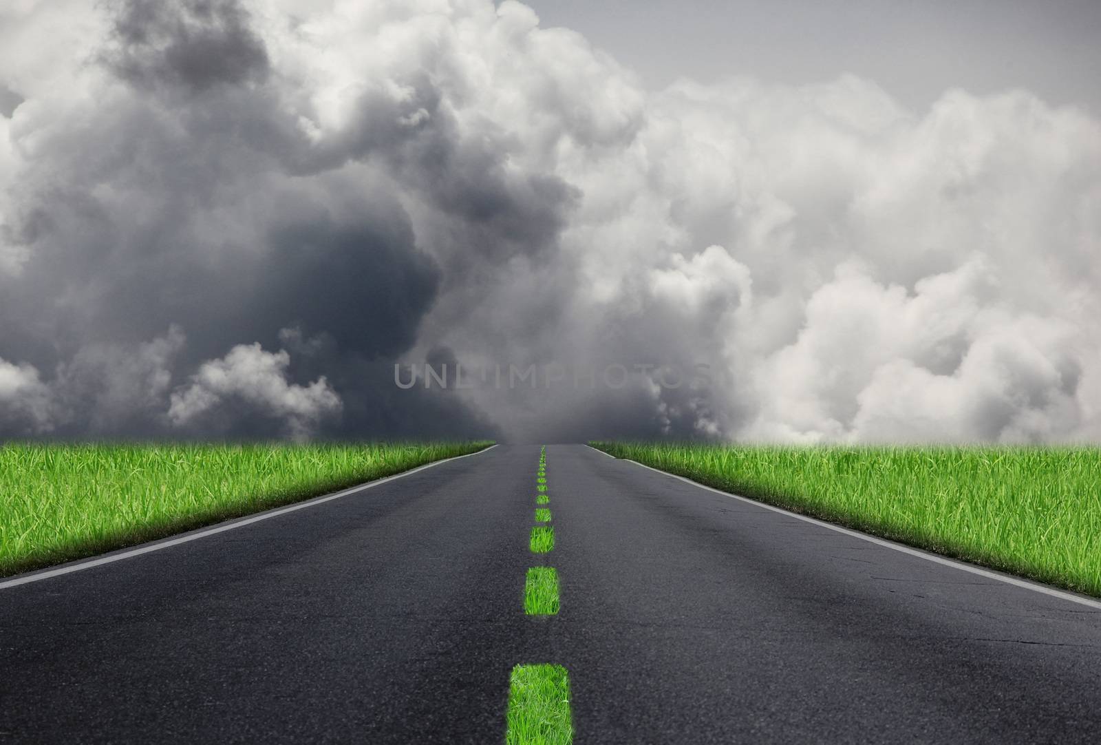 a strange road with grass
