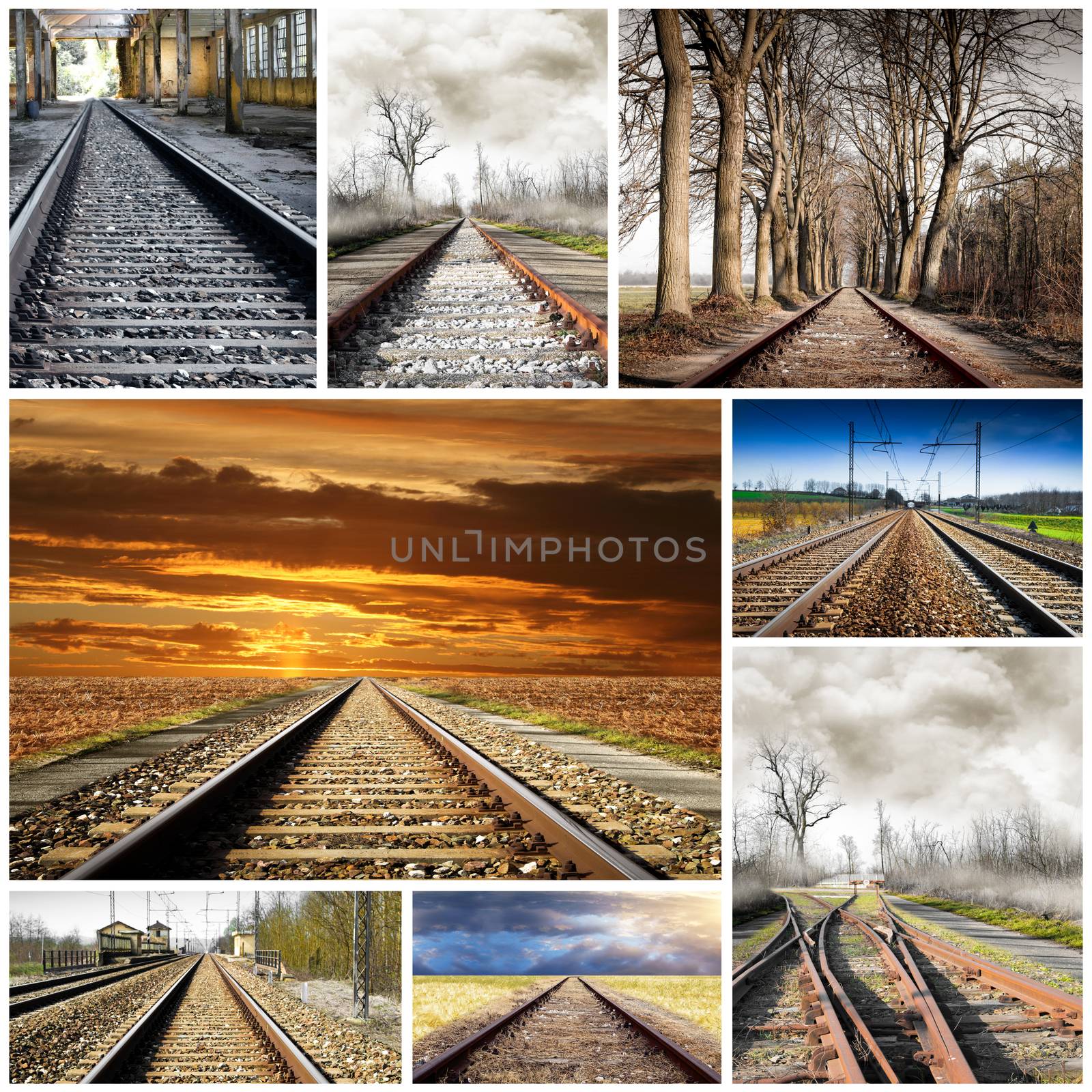 Train rails in many landscape collage
