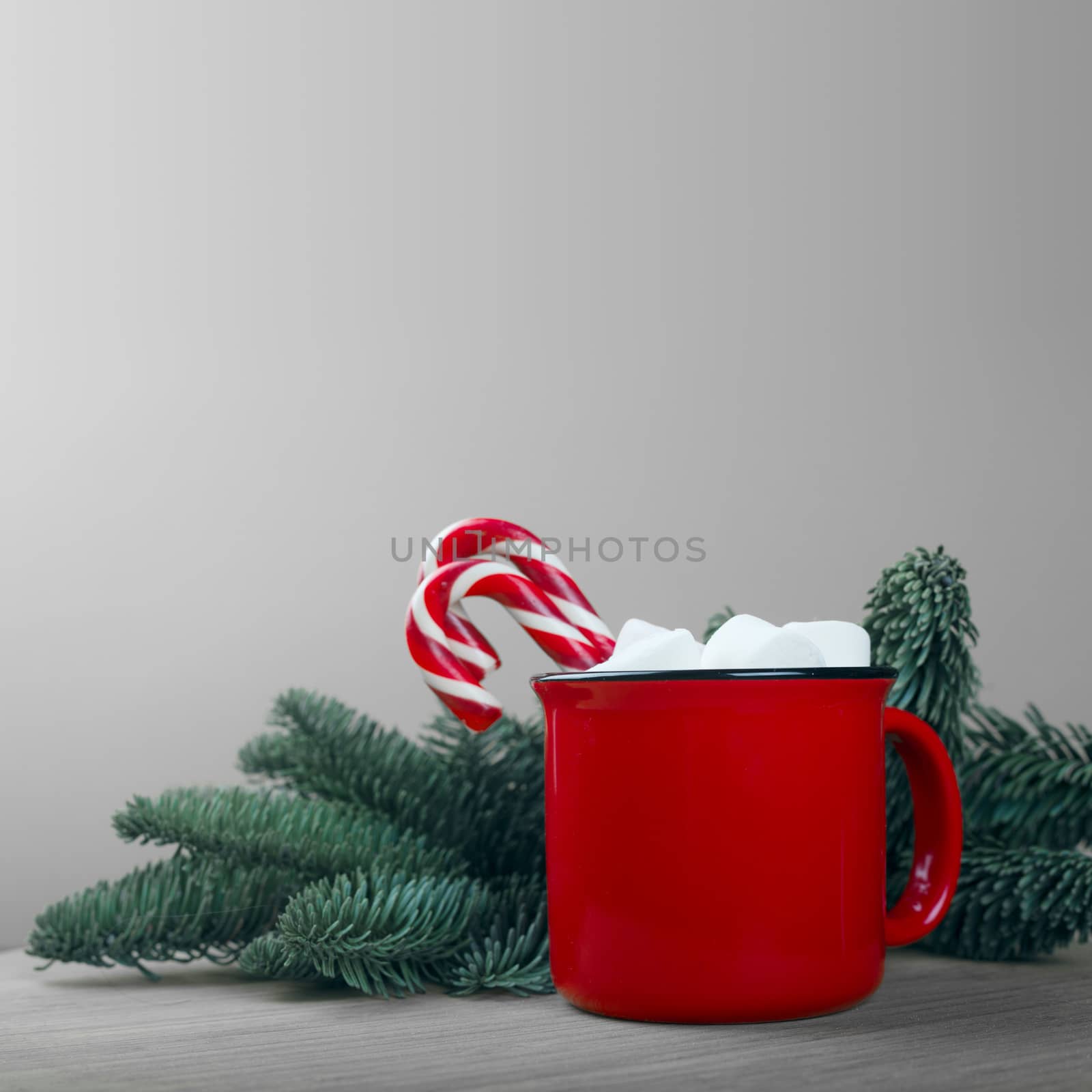 Cocoa in red mug with marshmallows and candy cane and natural fir tree franch on gray background with copy space