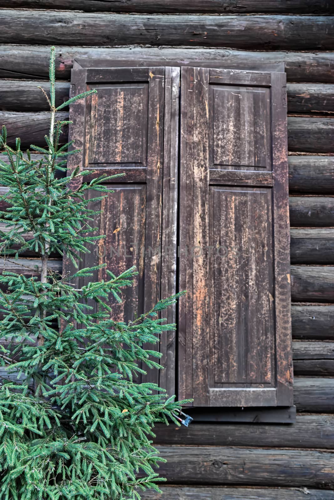 An element of the architecture of an old wooden house made of logs. by bonilook