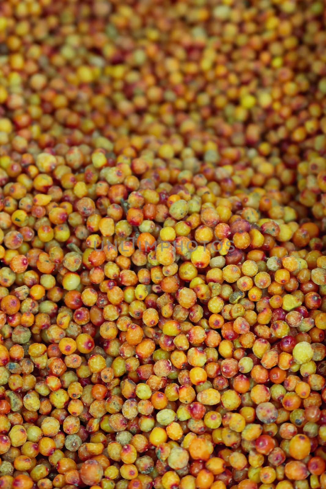 Frozen berries in grocery store shot close-up, blurred background. Bright yellow sea buckthorn berries.