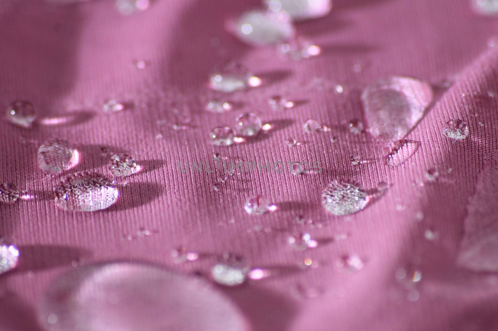 clear water drops pink background