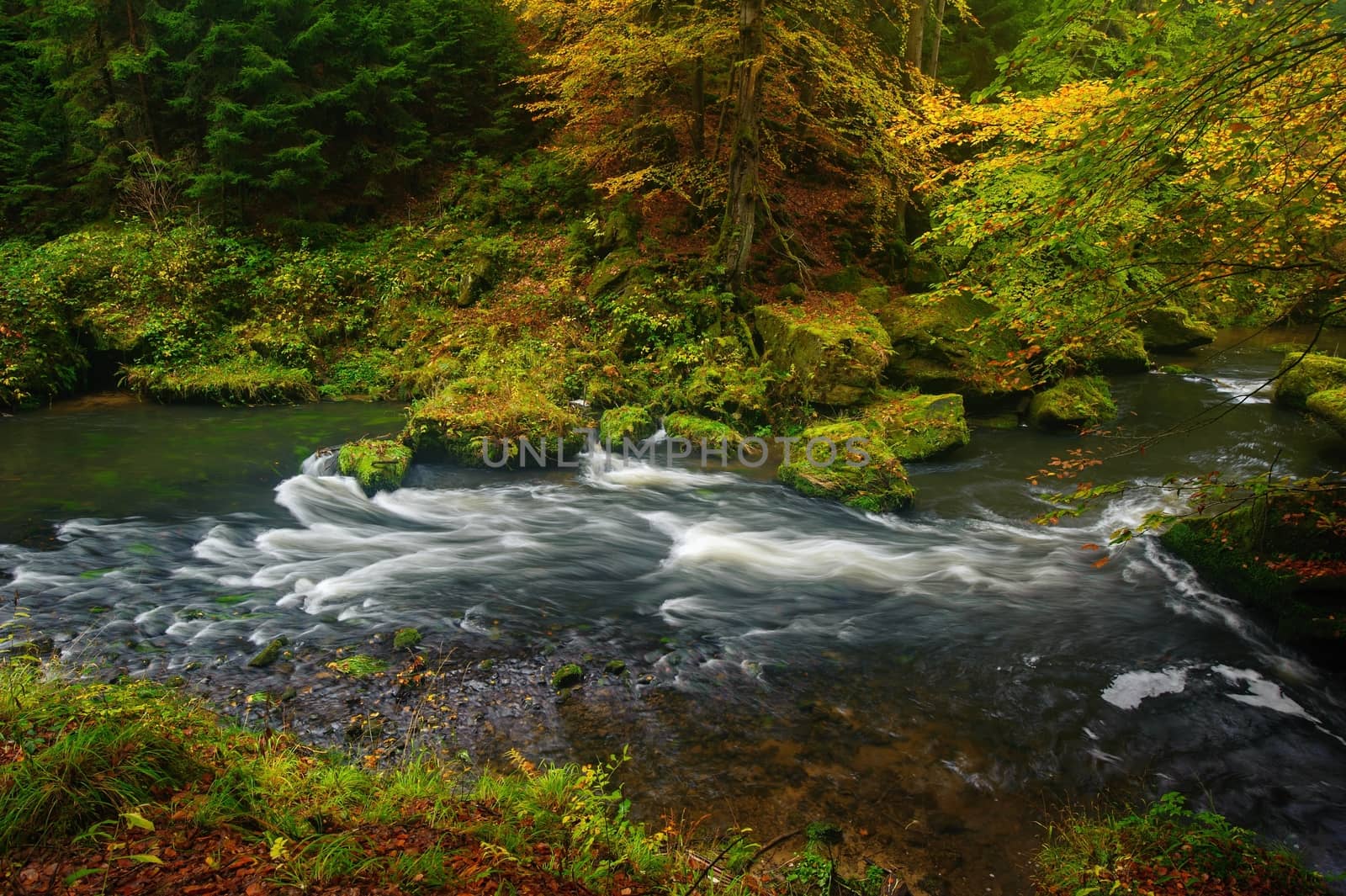 A beautifully clean river flowing through a colorful autumn forest