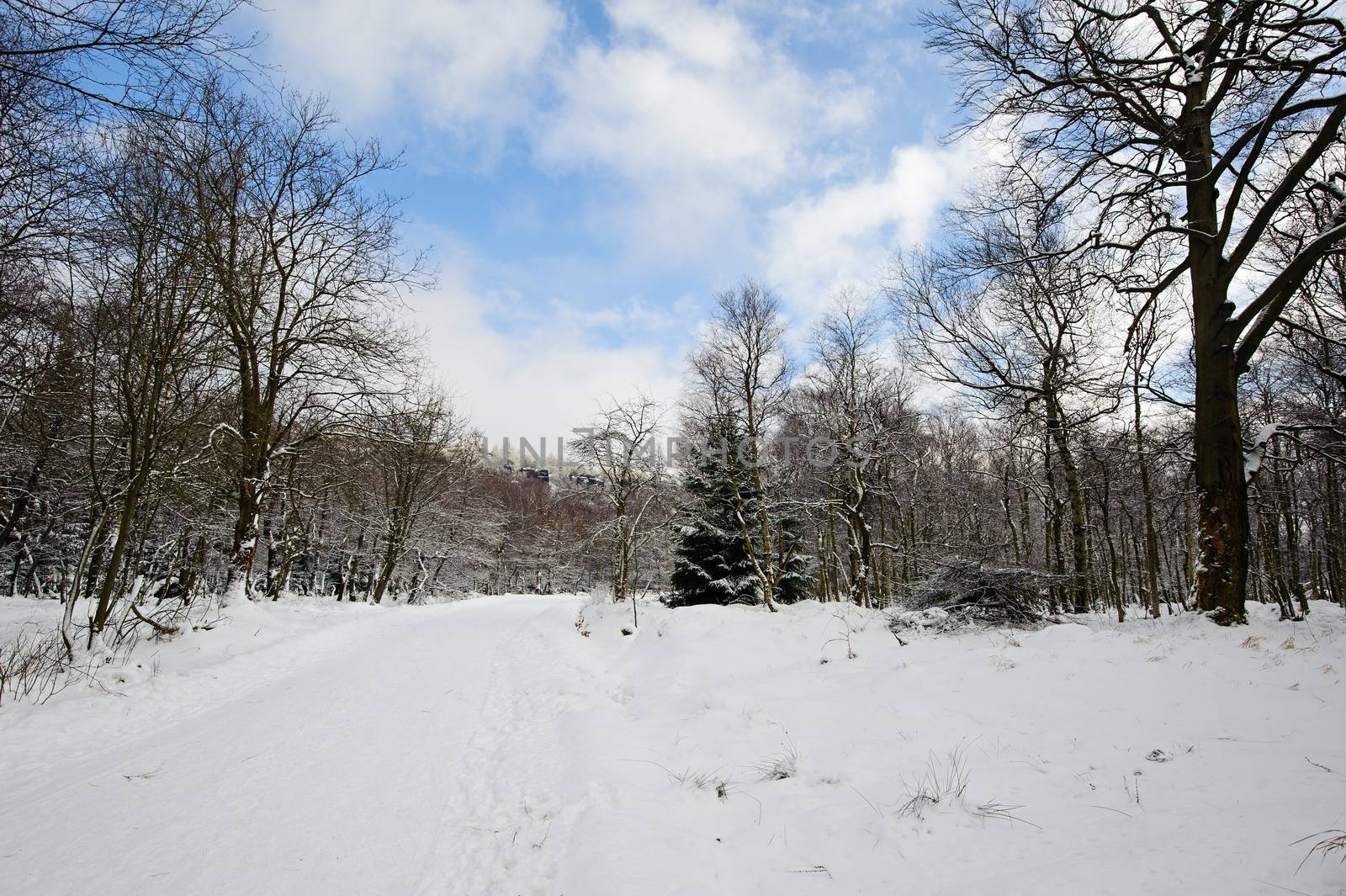 Winter landscape covered with snow and snow clouds