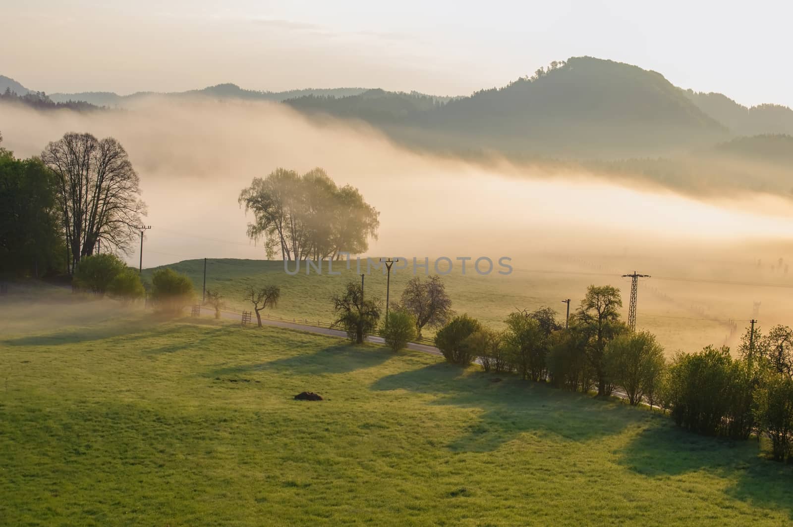 Autumn landscape with hills and forests in sunny morning mist