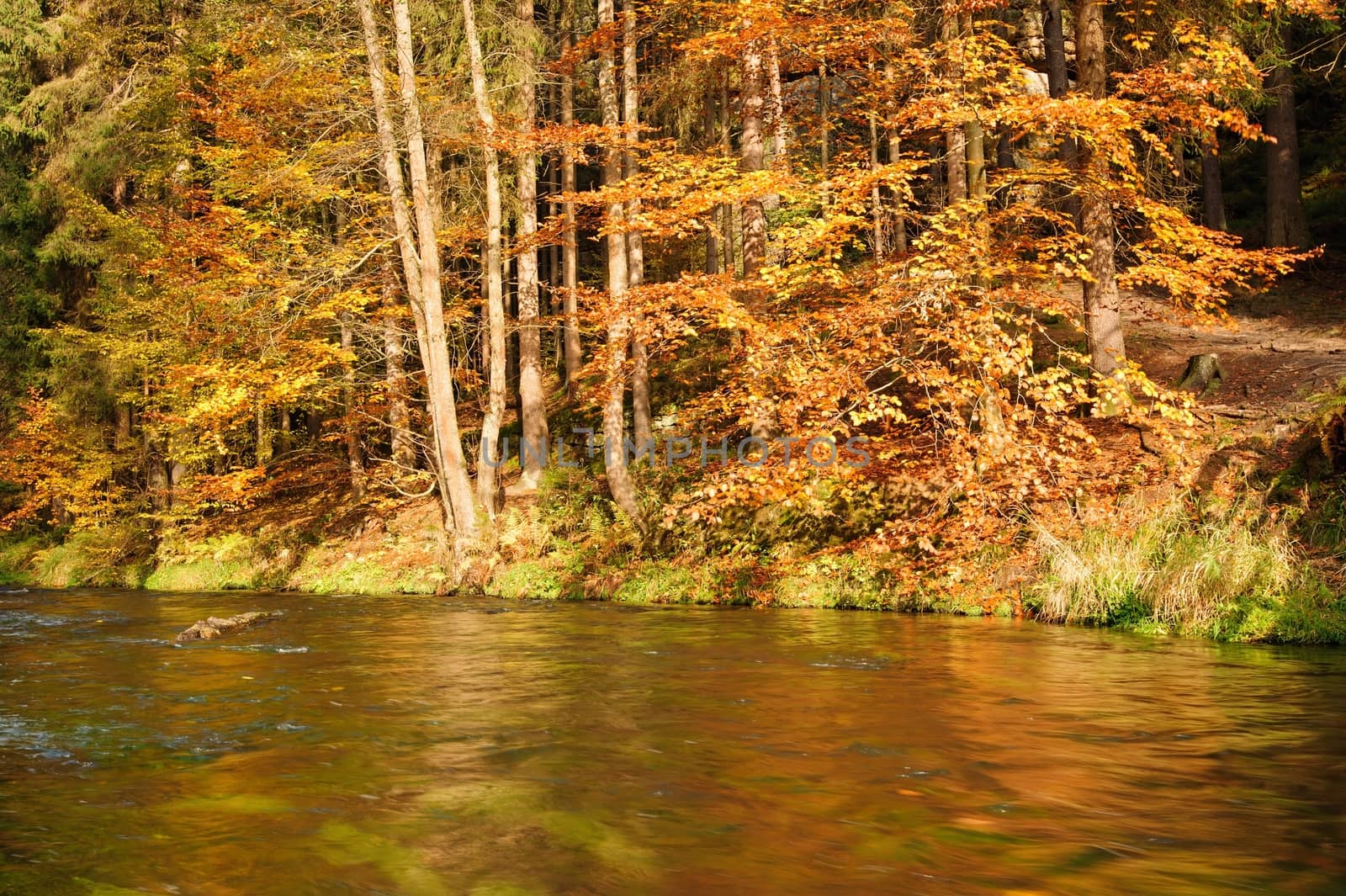 Autumn colored trees, leaves, rocks around the beautiful river